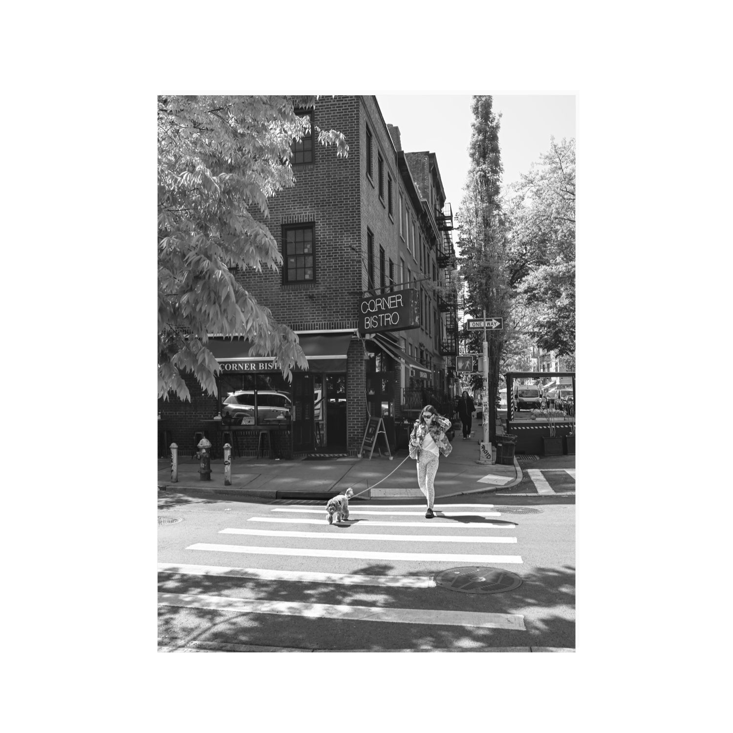 Sunlit Stroll New York NYC Black & White wall art 30 x 40 in unframed fine art print