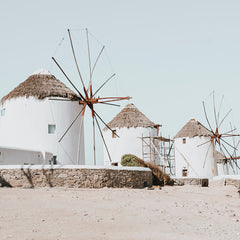 Culture & Travel