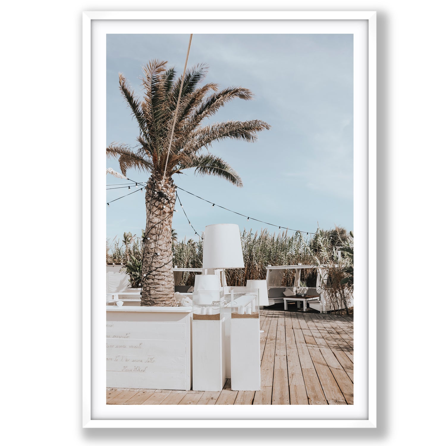 Seabreeze Palm