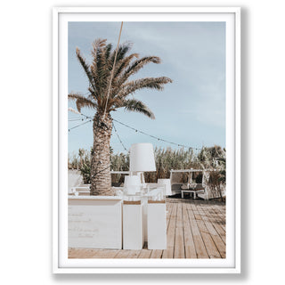 Seabreeze Palm