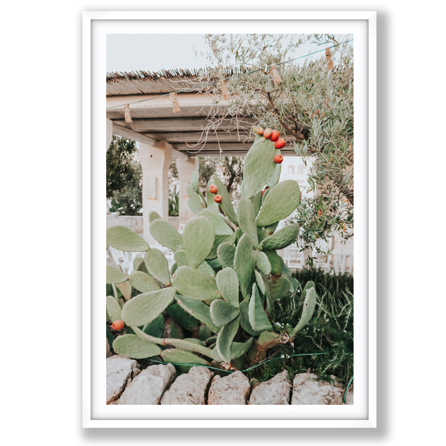 Opuntia Beauty Puglia wall art main fine art print image