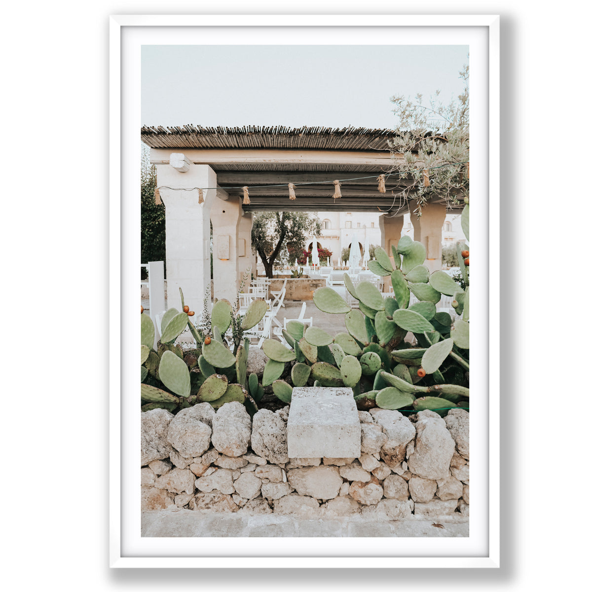 Puglia Flora