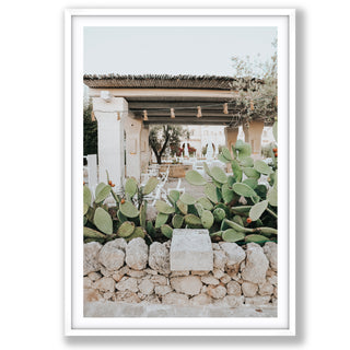 Puglia Flora