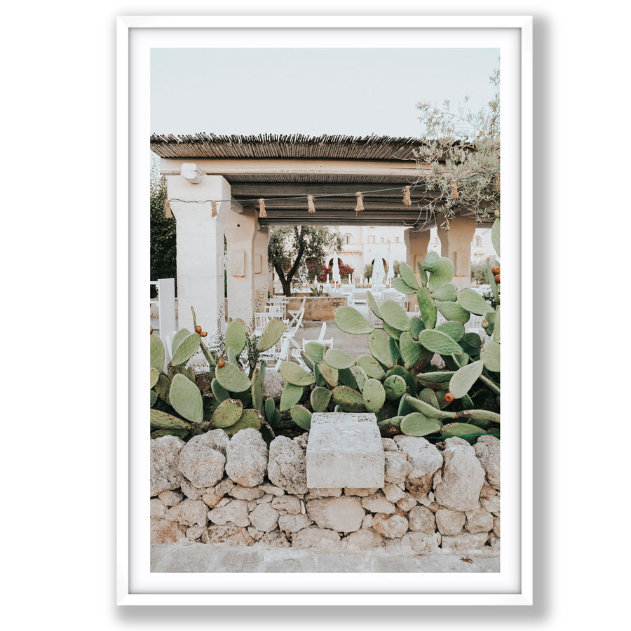 Puglia Flora Puglia Borgo Egnazia Mediterranean wall art main fine art print image