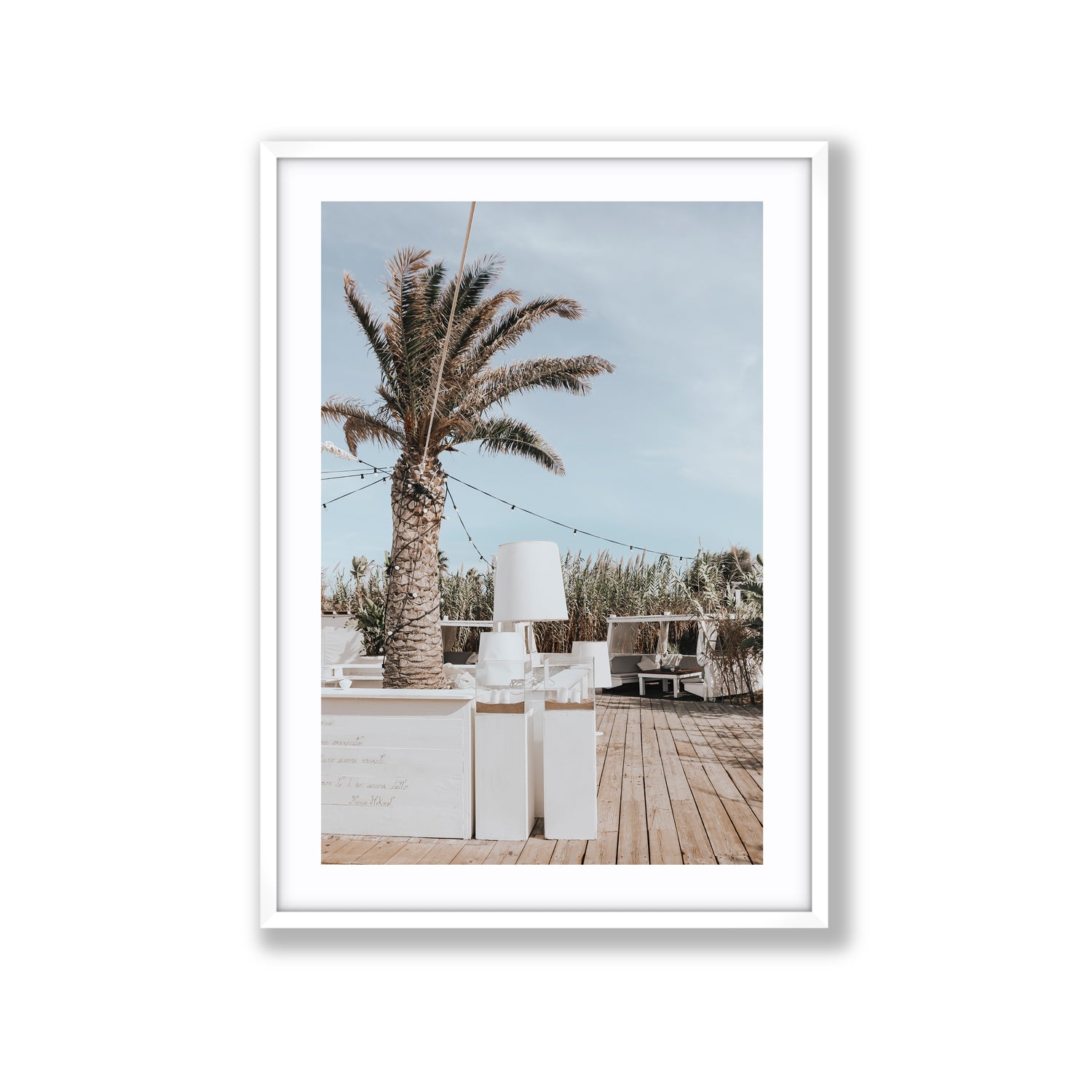 Seabreeze Palm
