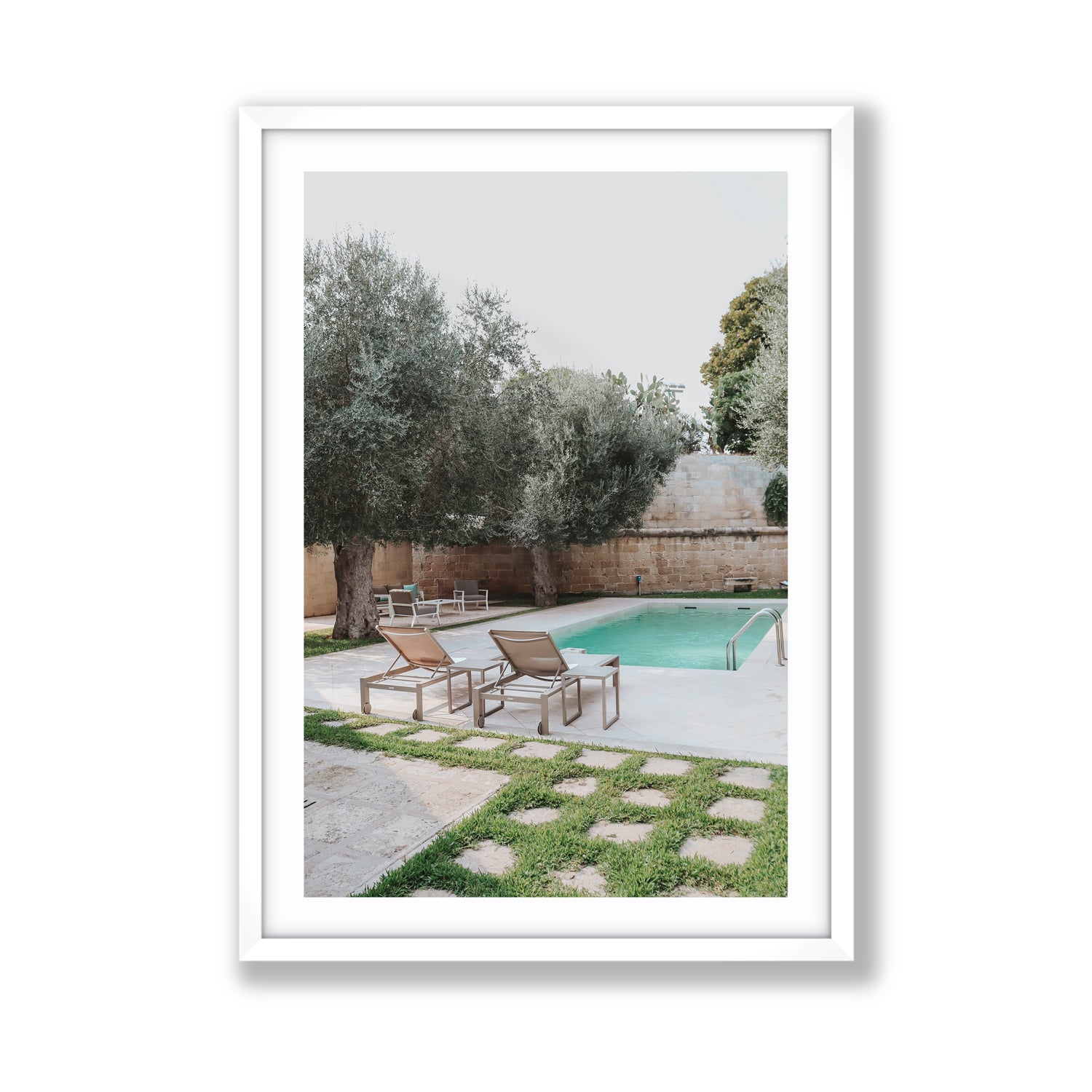 Olive Oasis