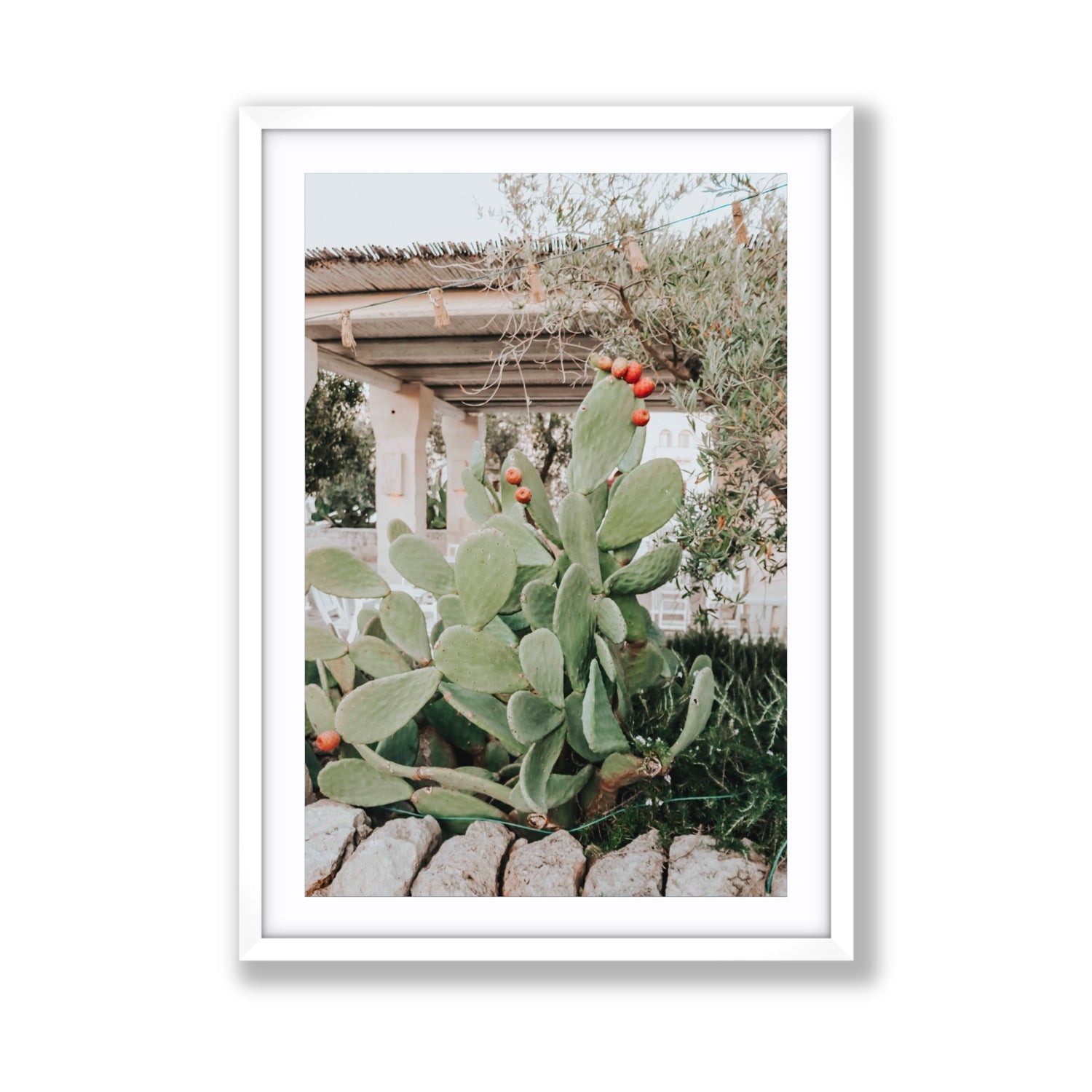 Opuntia Beauty Puglia wall art Giant fine art print in white frame with matboard