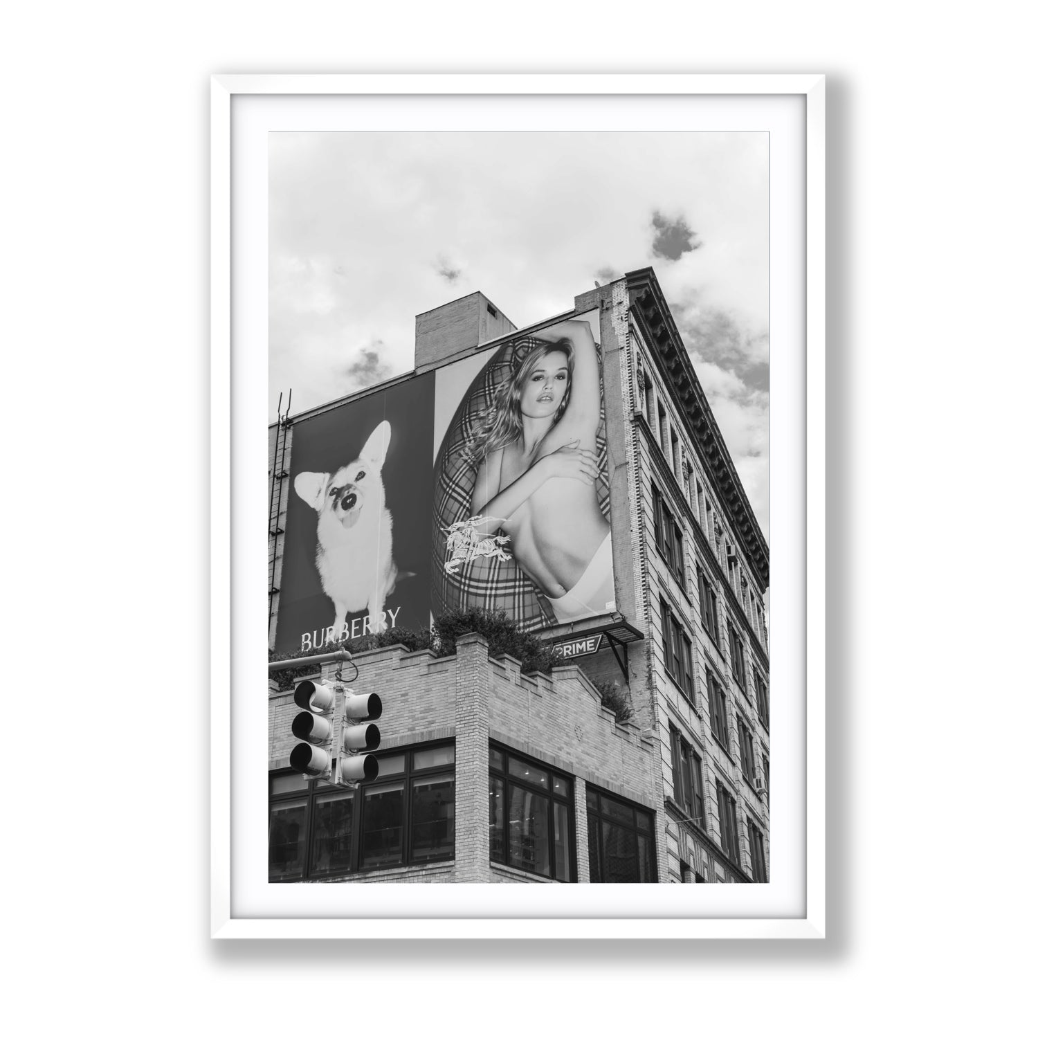 Dynamic Duo fine art print, New York, United States, Gallery, White Frame · Matboard, Fine Art Print