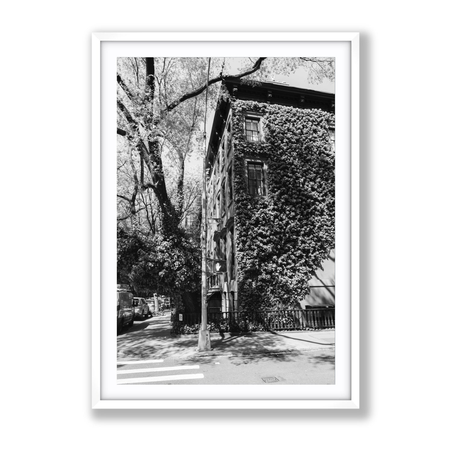 Vertical Garden New York NYC Black & White wall art Gallery fine art print in white frame with matboard