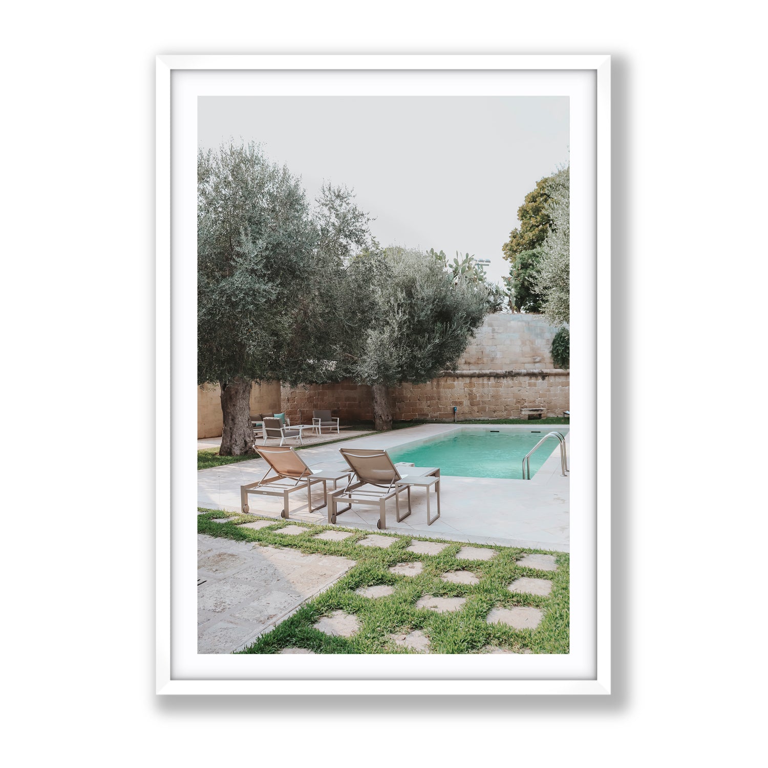 Olive Oasis