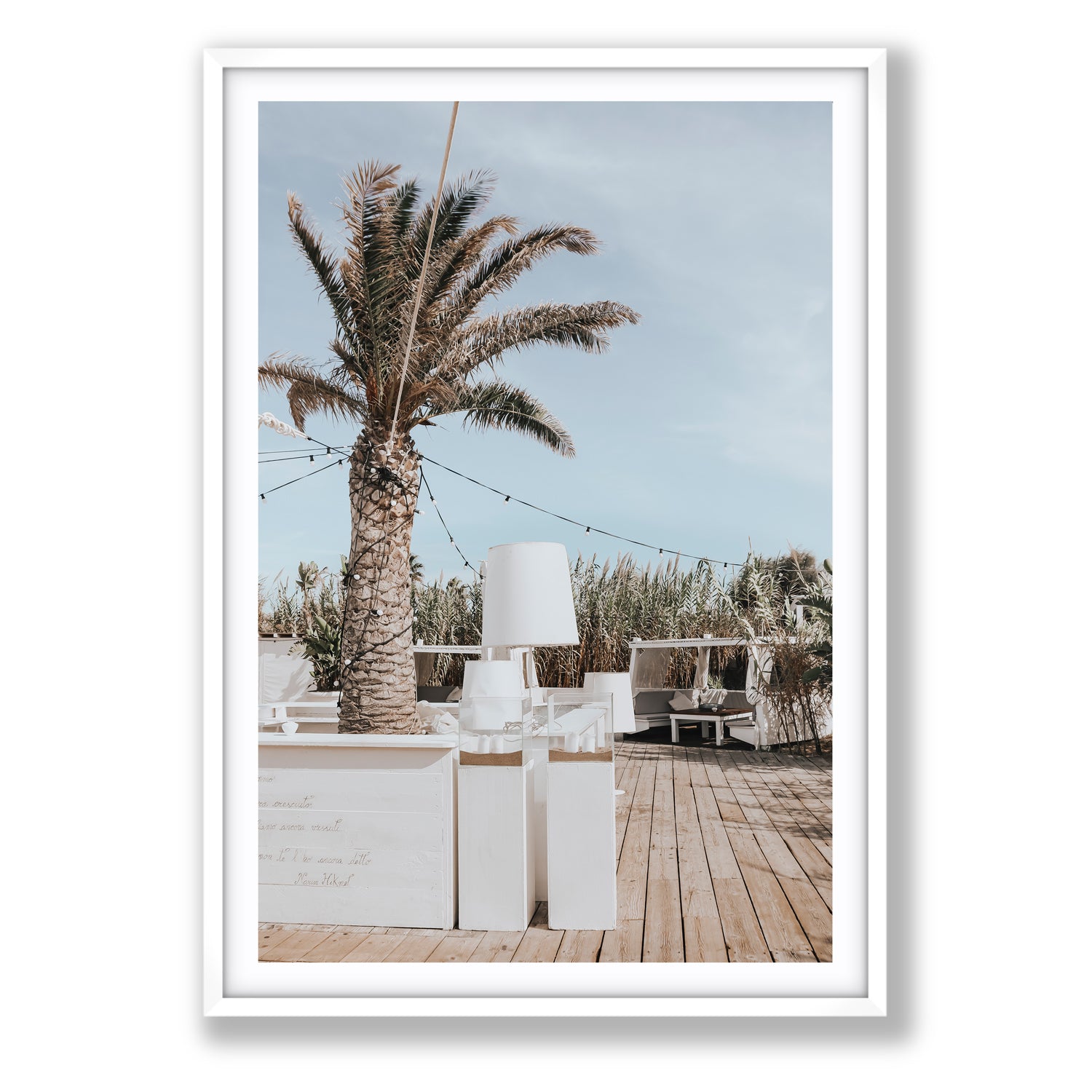 Seabreeze Palm