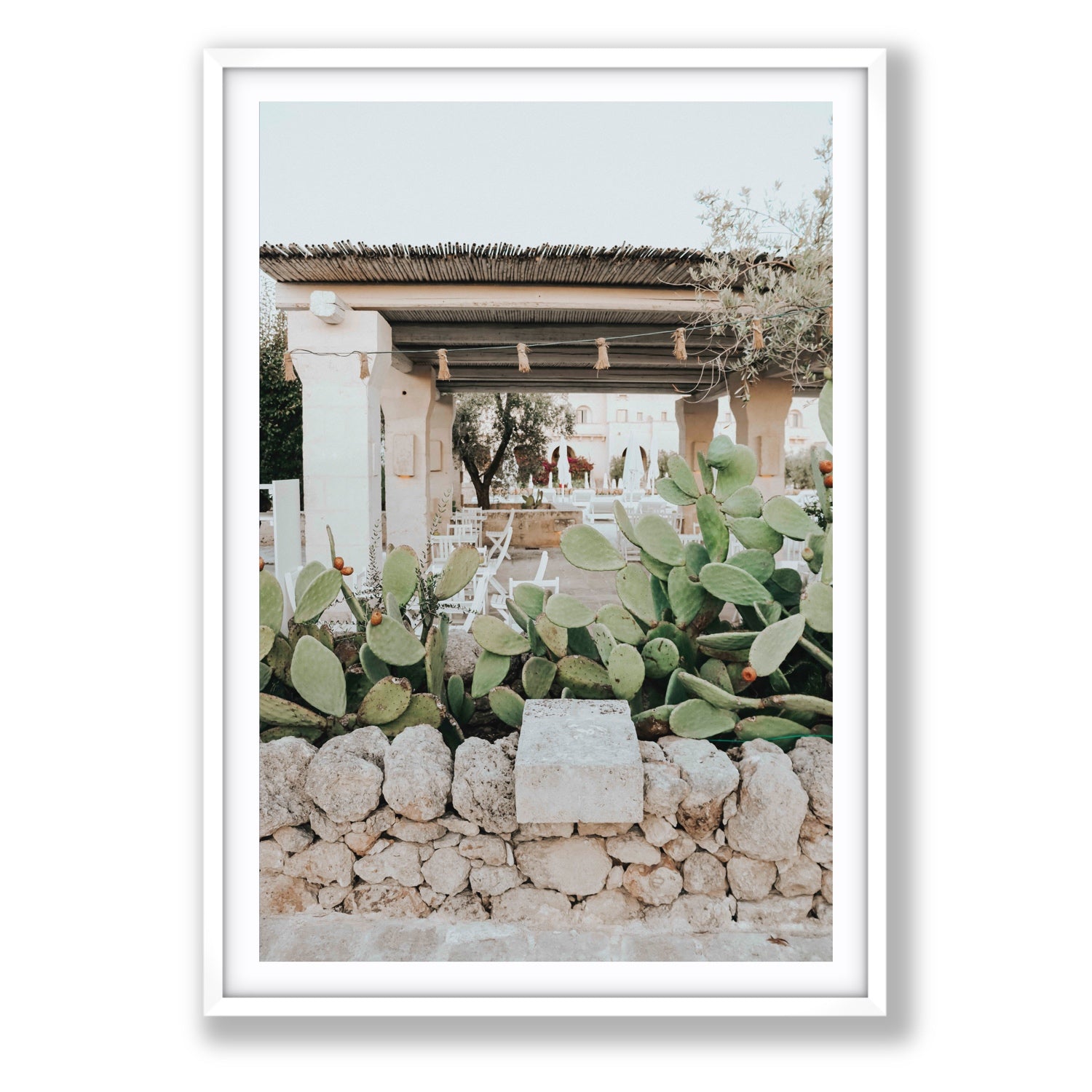 Puglia Flora Puglia Borgo Egnazia Mediterranean wall art Statement fine art print in white frame with matboard