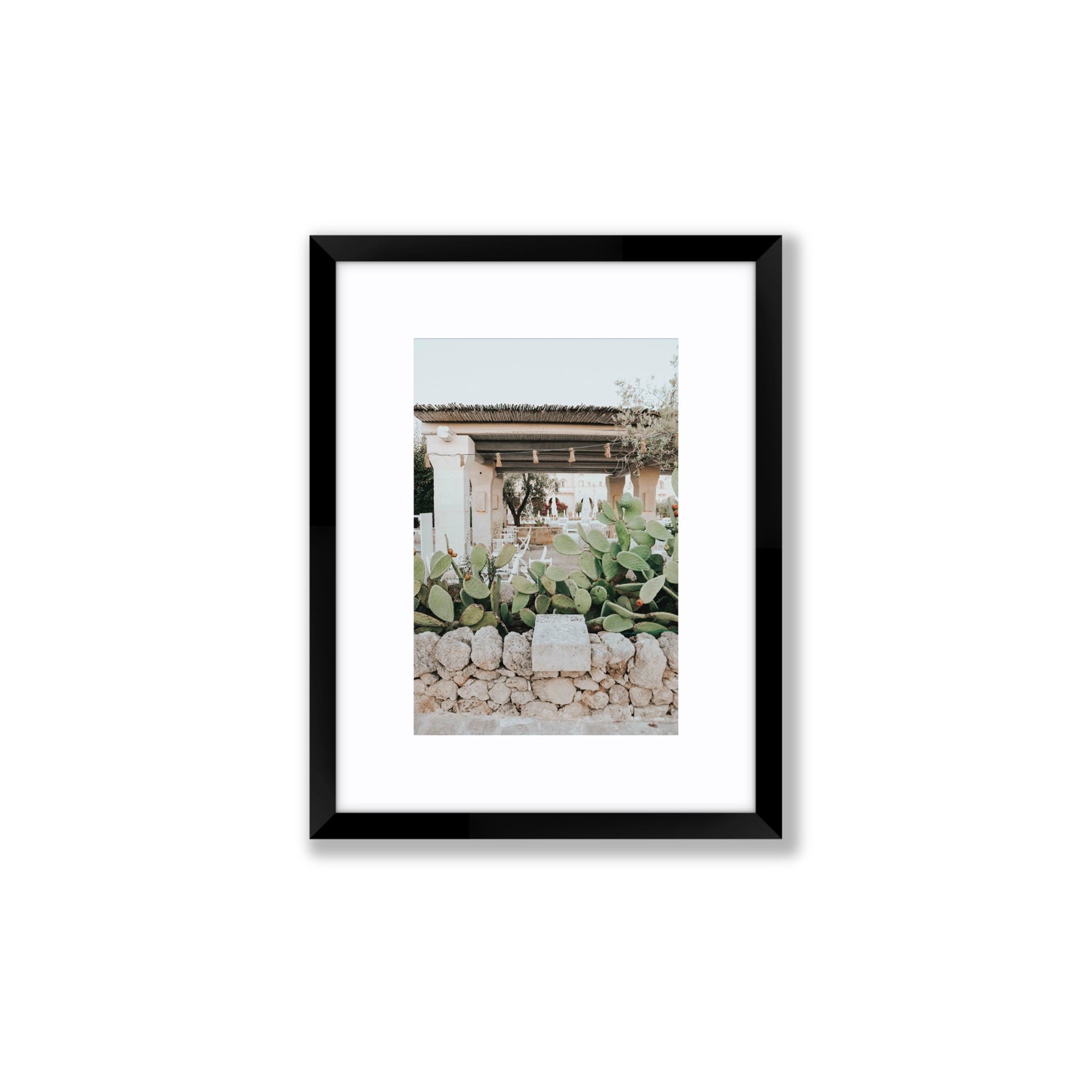 Puglia Flora Puglia Borgo Egnazia Mediterranean wall art Small fine art print in black frame with matboard