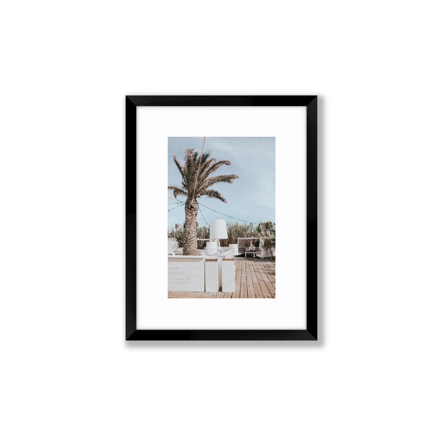 Seabreeze Palm