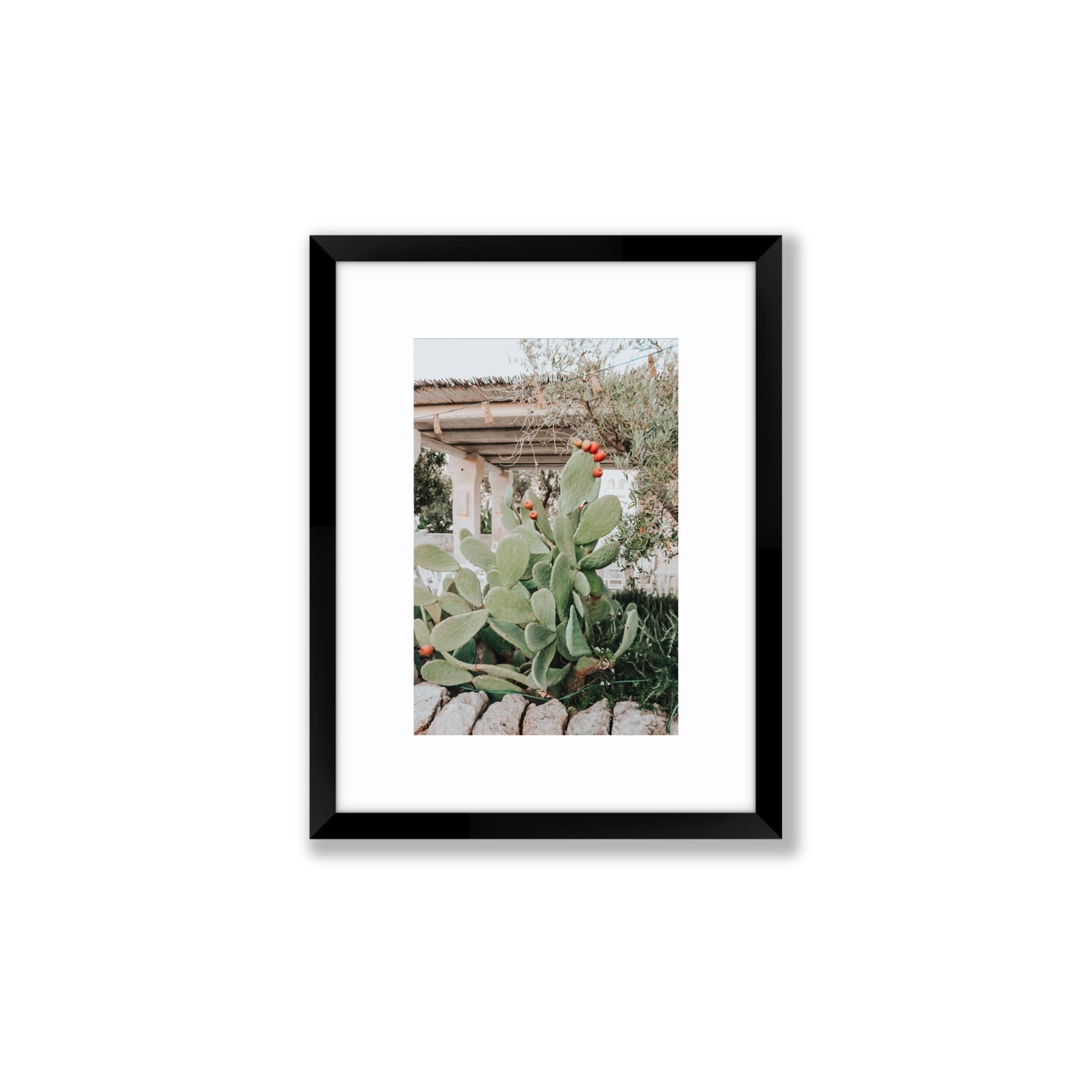 Opuntia Beauty Puglia wall art Small fine art print in black frame with matboard