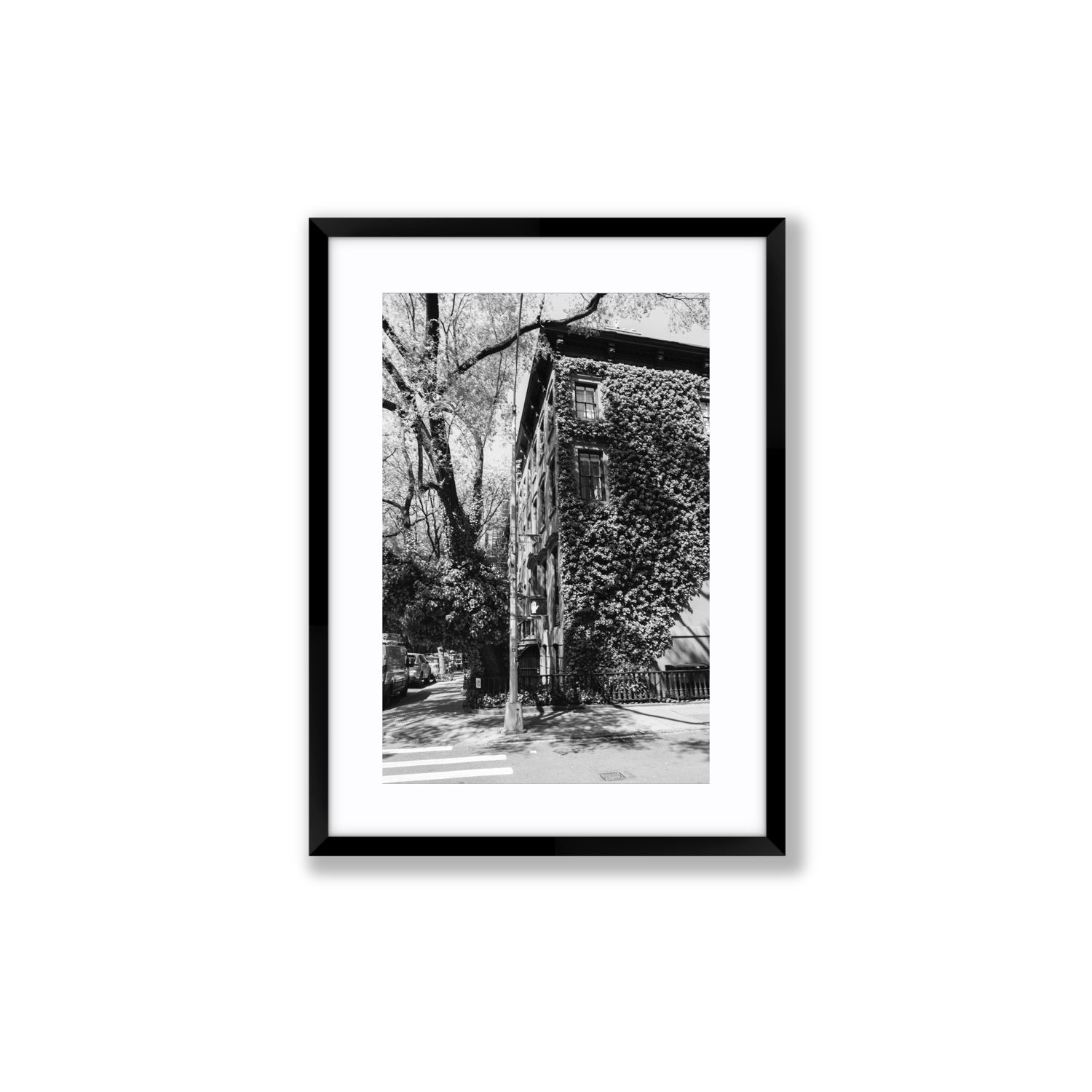 Vertical Garden New York NYC Black & White wall art Medium fine art print in black frame with matboard