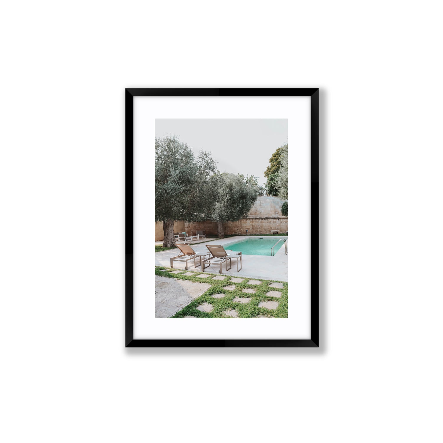 Olive Oasis