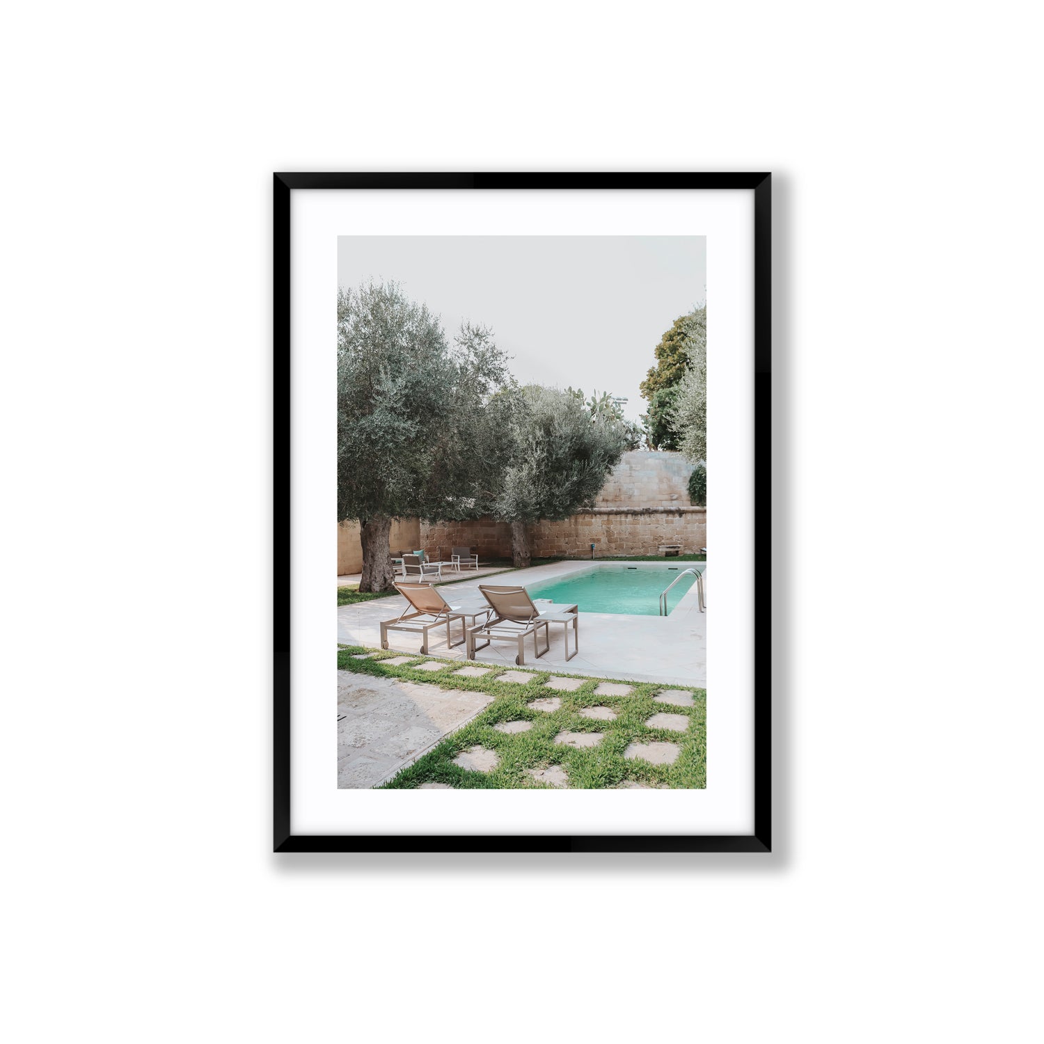 Olive Oasis