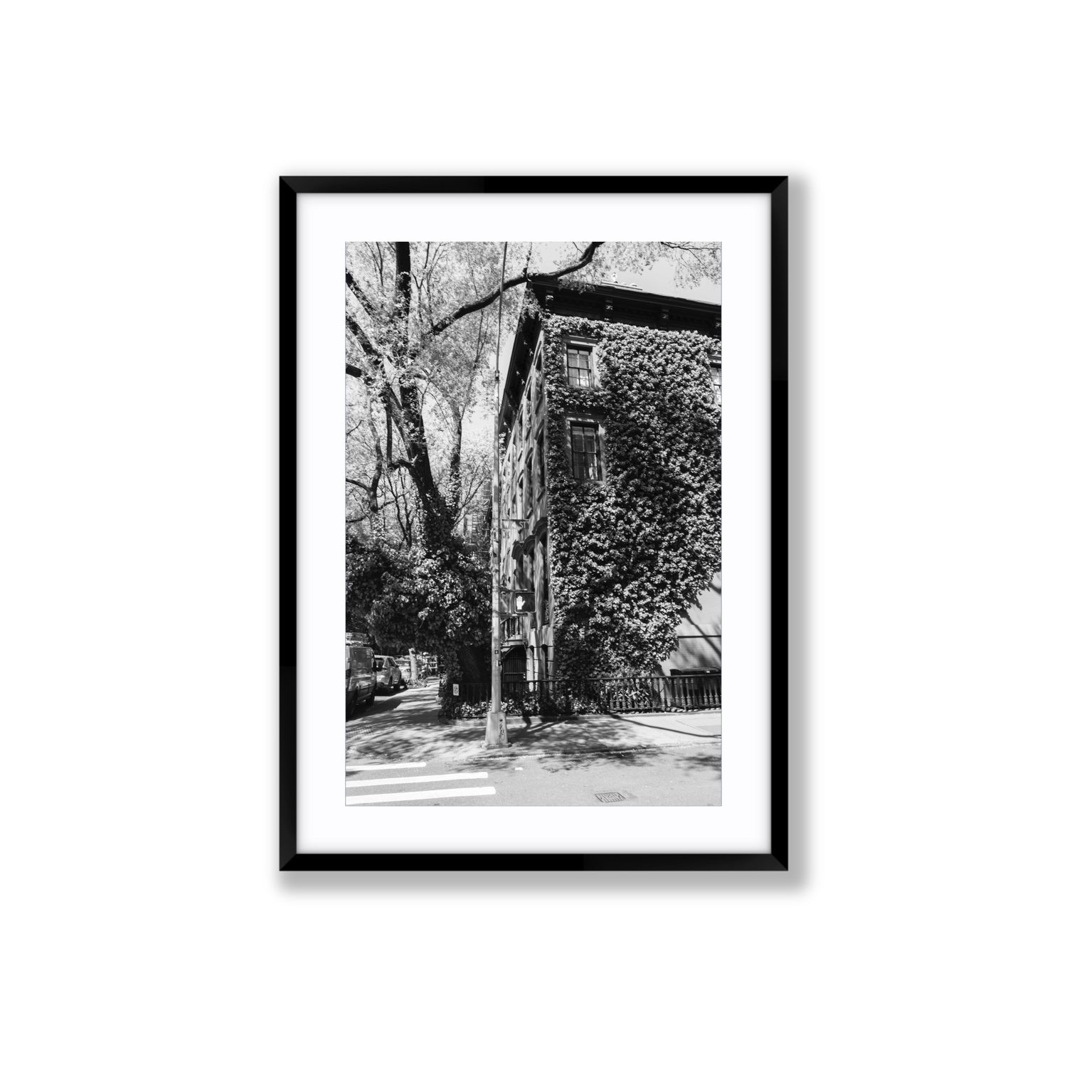 Vertical Garden New York NYC Black & White wall art Large fine art print in black frame with matboard