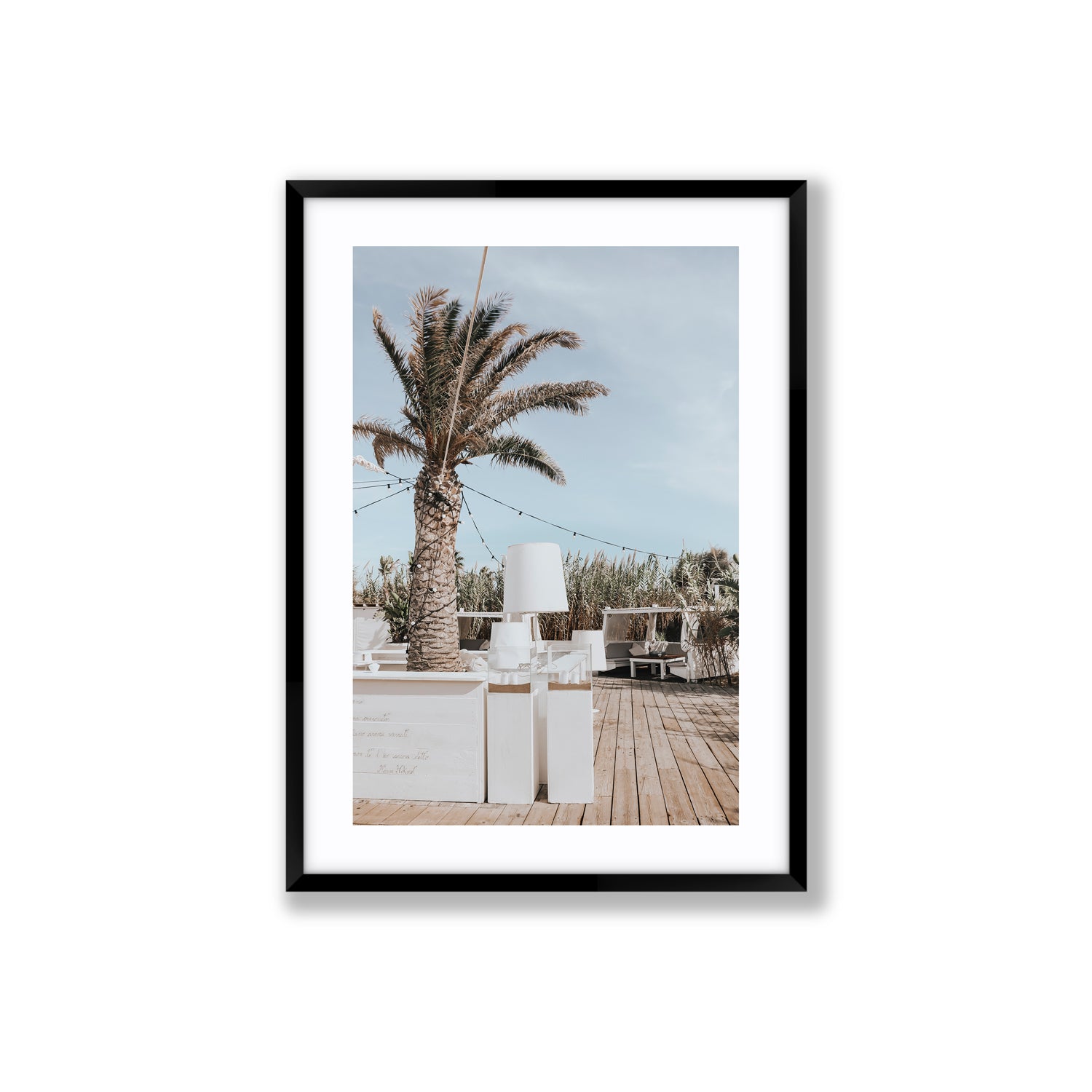 Seabreeze Palm