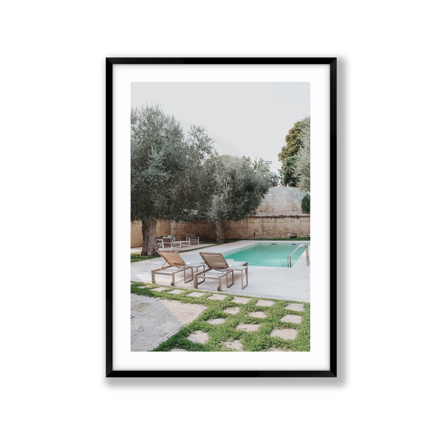 Olive Oasis