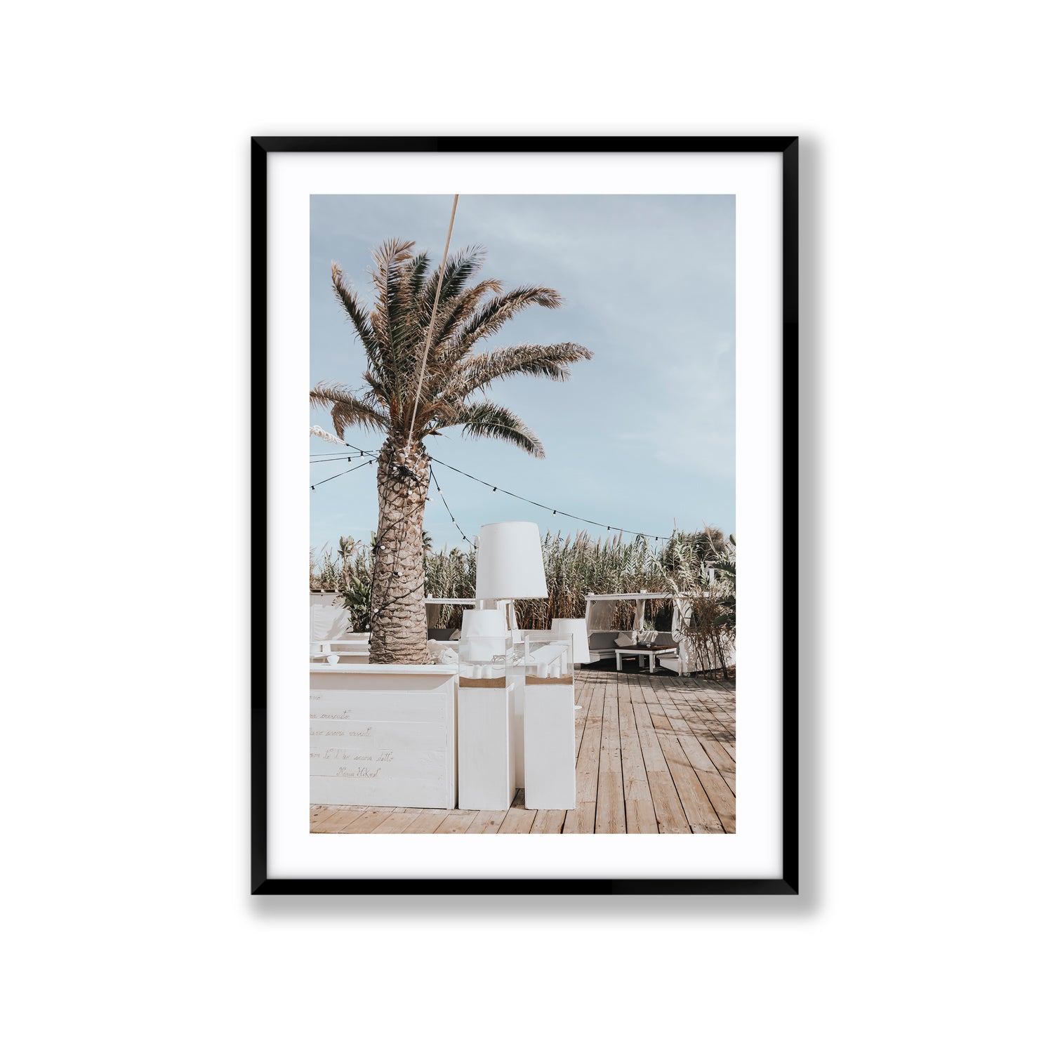 Seabreeze Palm