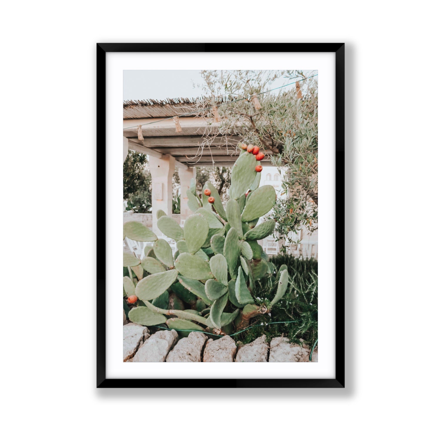 Opuntia Beauty Puglia wall art Giant fine art print in black frame with matboard
