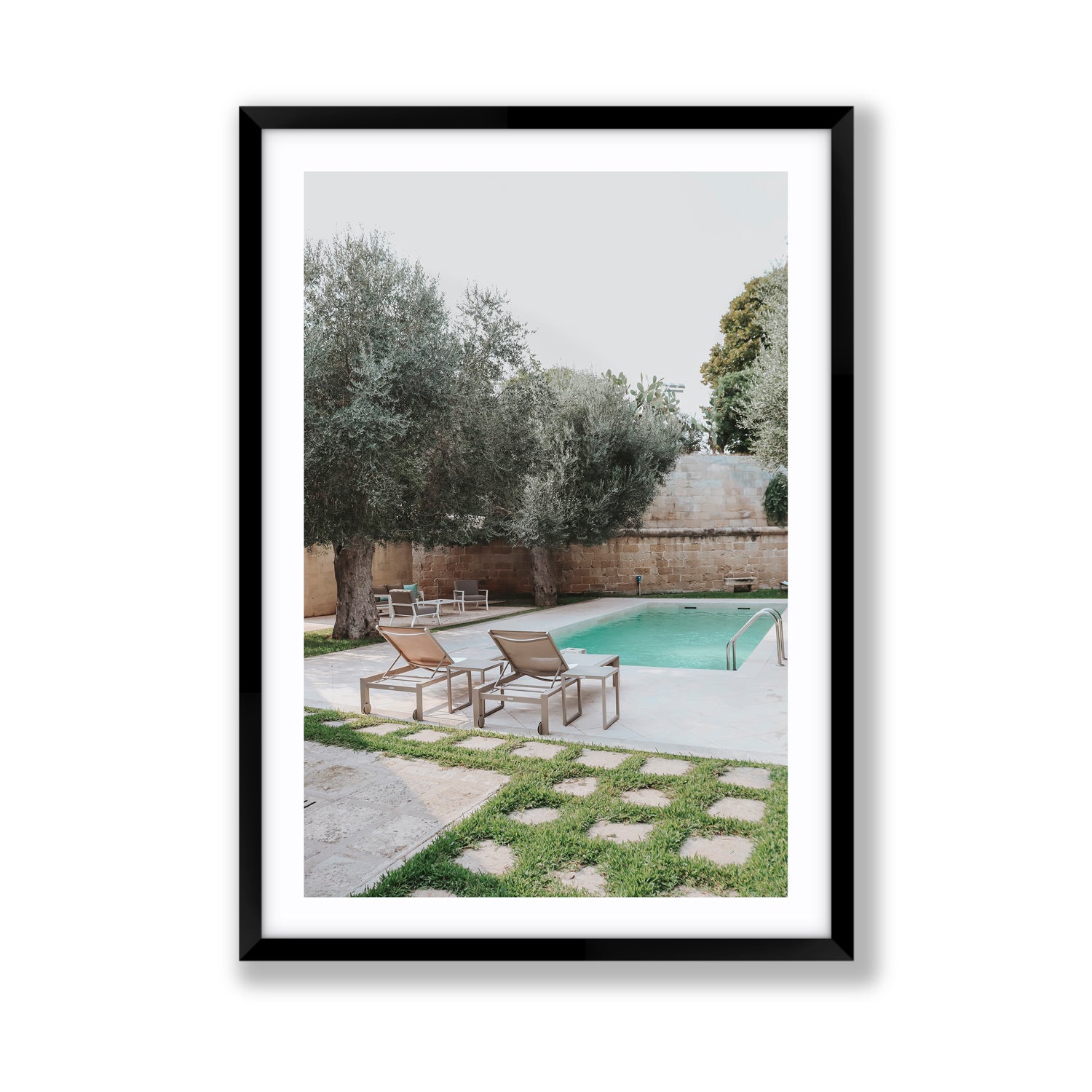 Olive Oasis