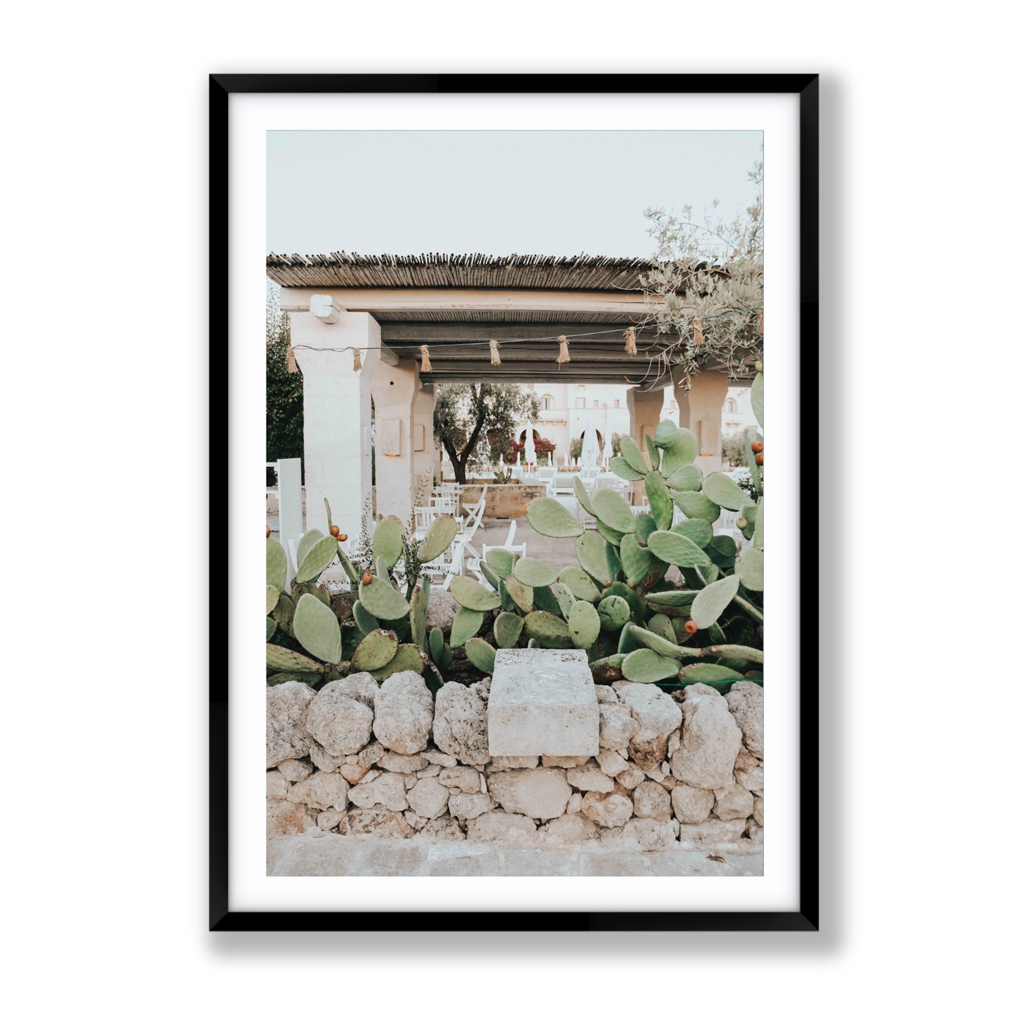 Puglia Flora Puglia Borgo Egnazia Mediterranean wall art Gallery fine art print in black frame with matboard