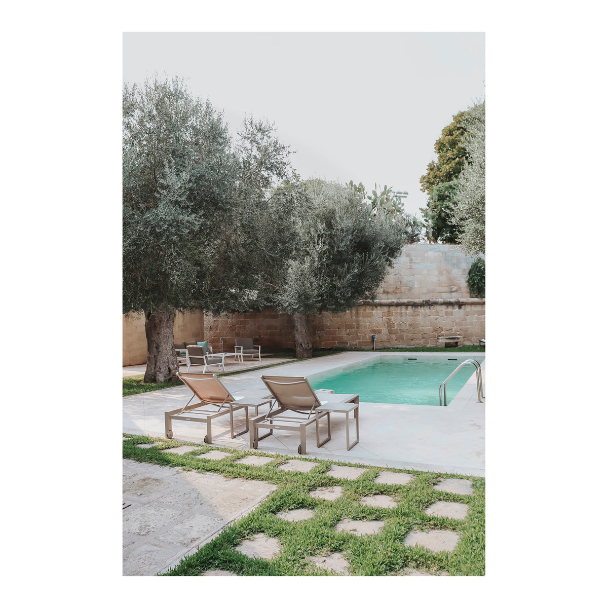 Olive Oasis