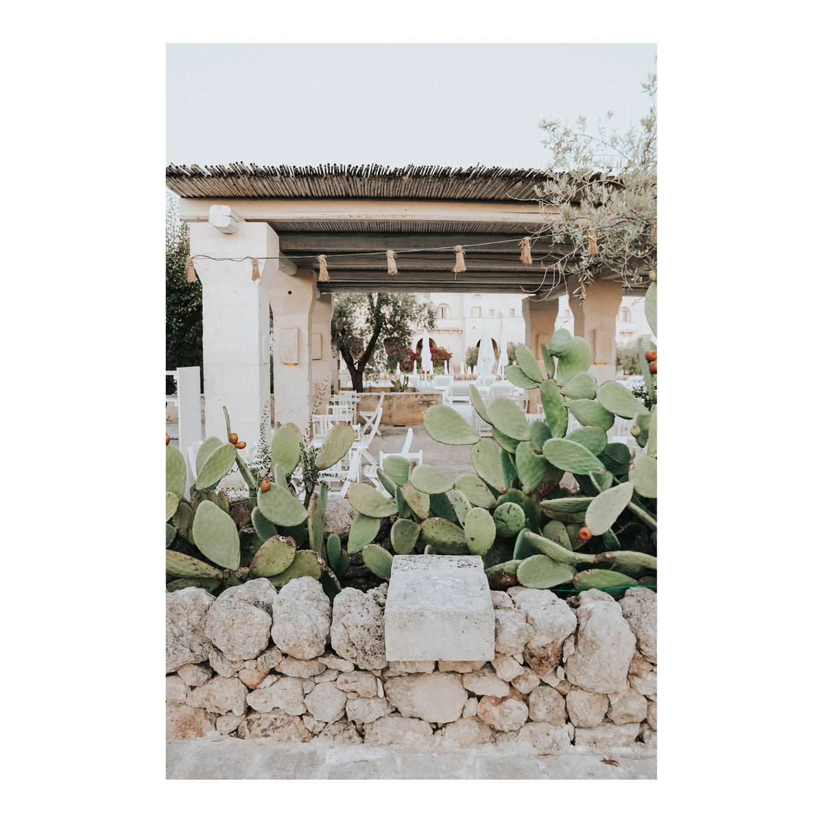 Puglia Flora