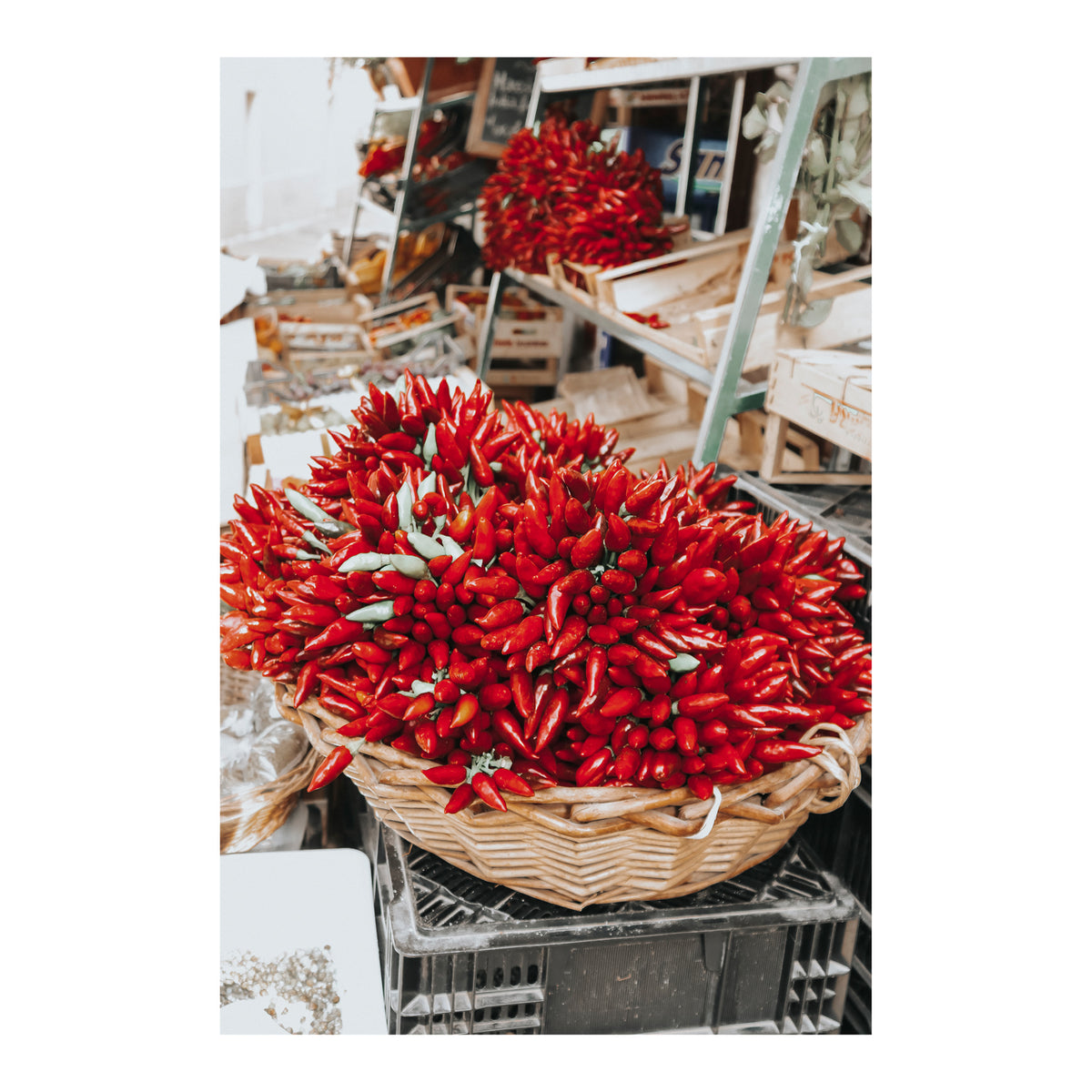 Spicy Bunch