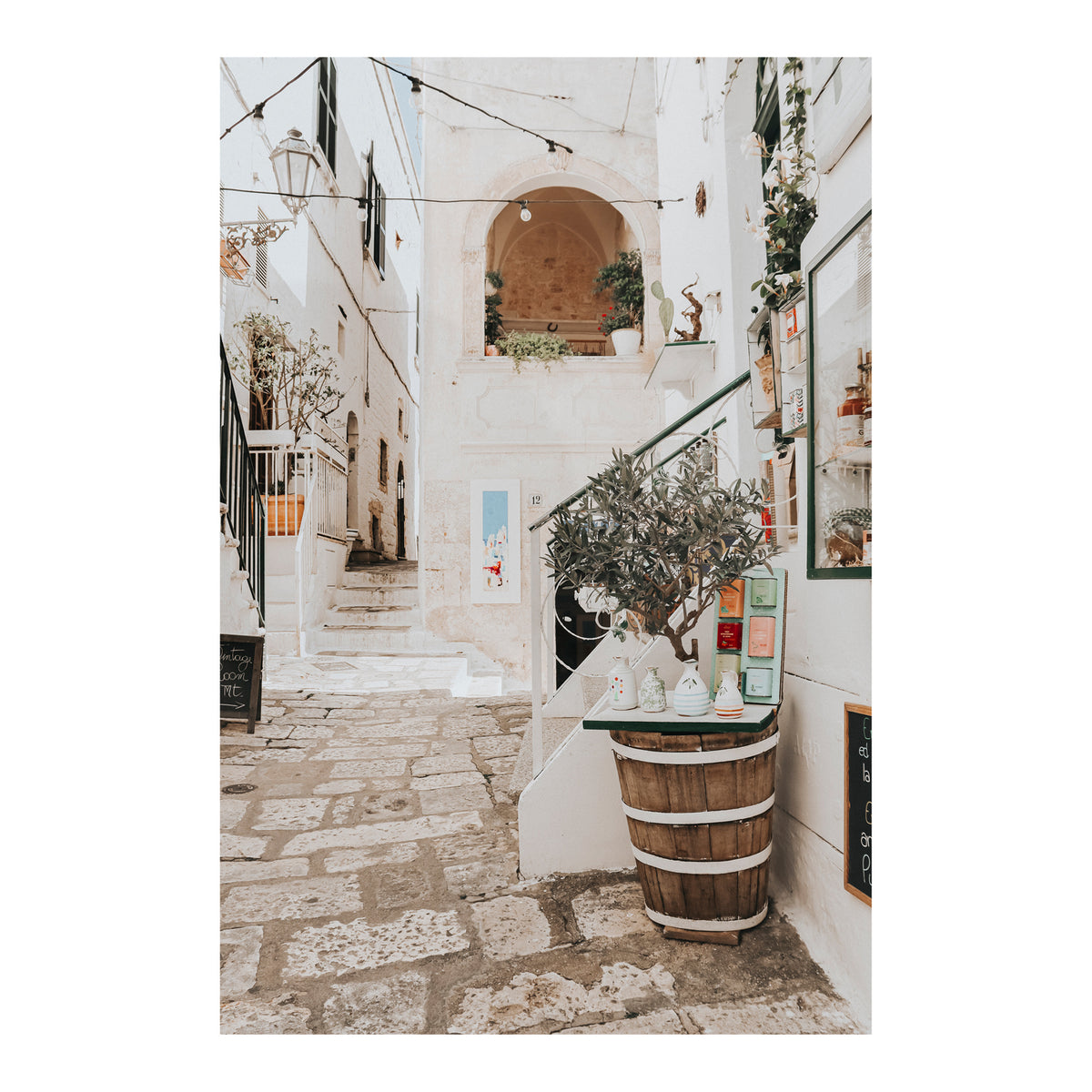 Olive Tree Lane