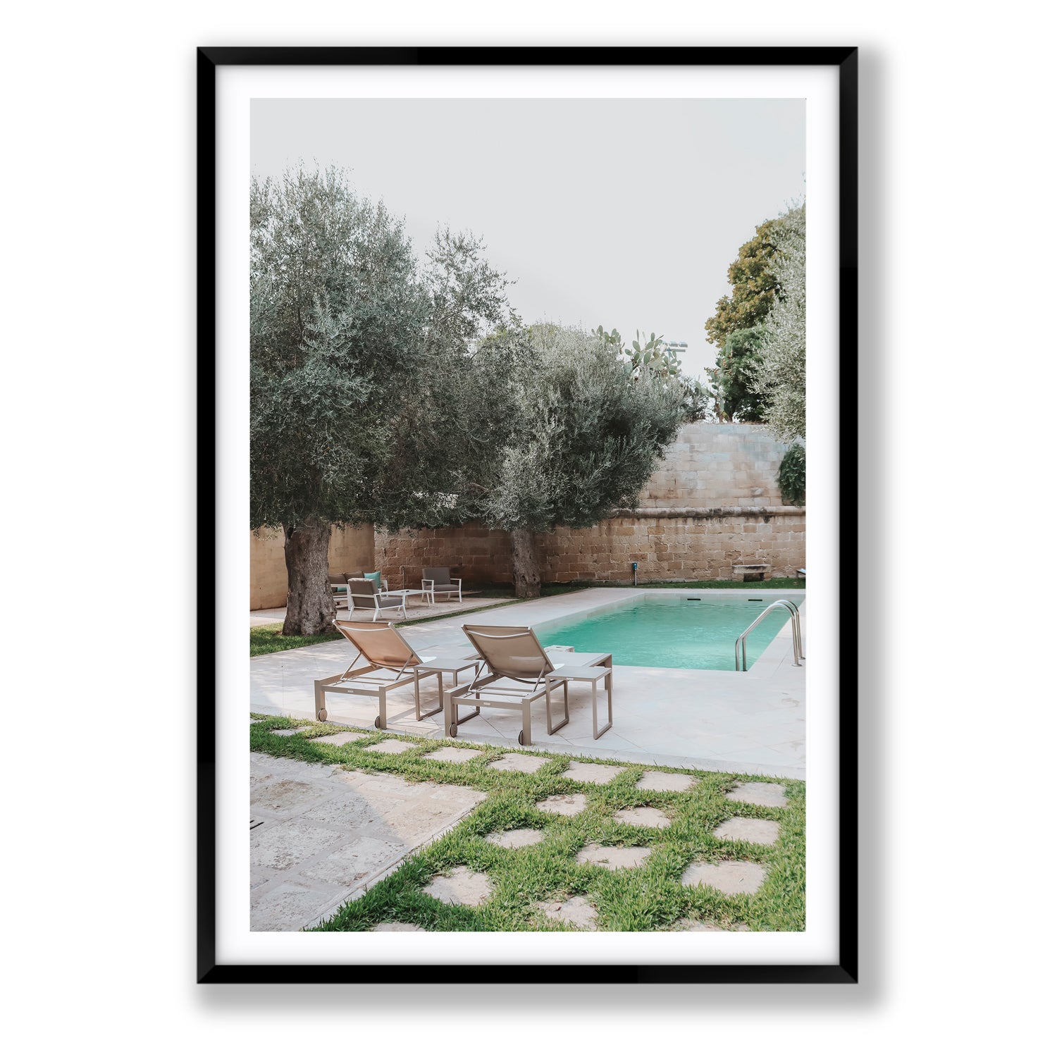 Olive Oasis