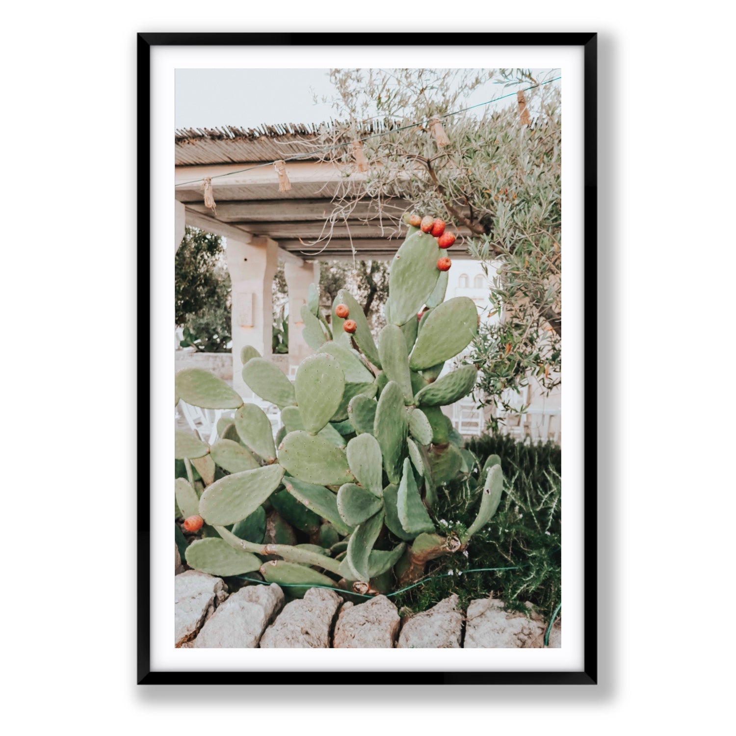 Opuntia Beauty Puglia wall art Statement fine art print in black frame with matboard