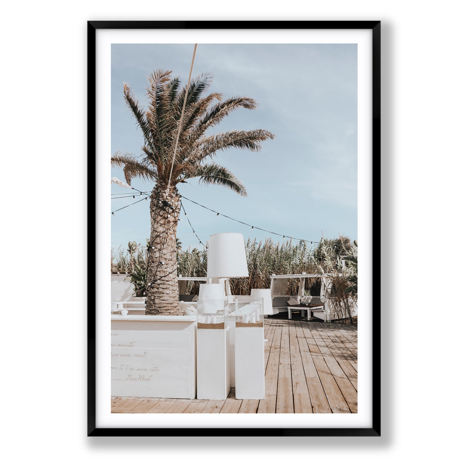 Seabreeze Palm