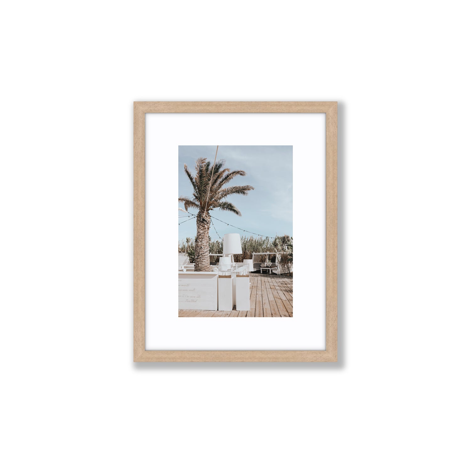 Seabreeze Palm