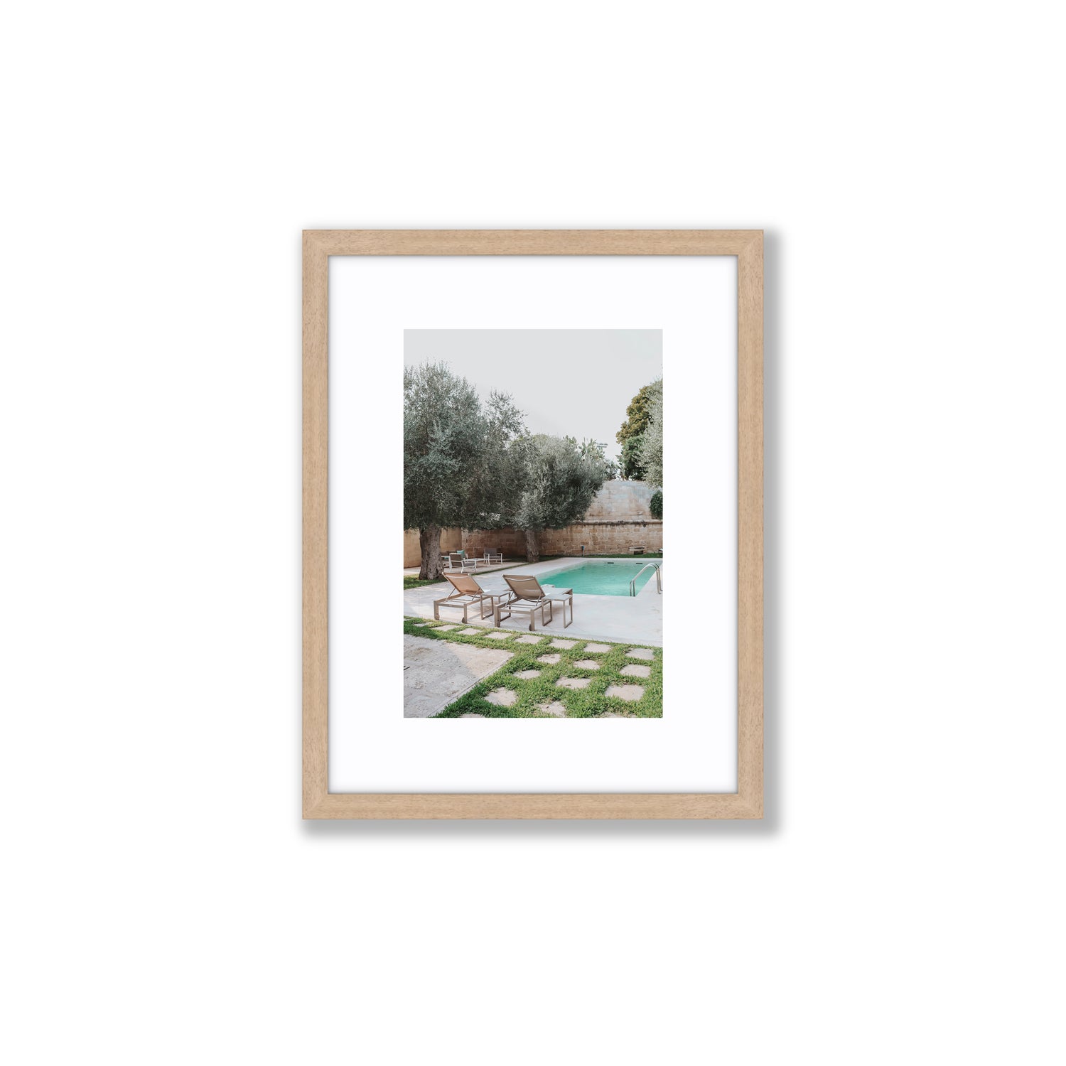 Olive Oasis