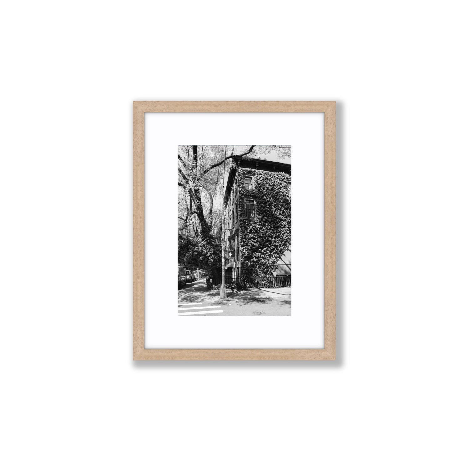 Vertical Garden New York NYC Black & White wall art Small fine art print in natural oak frame with matboard