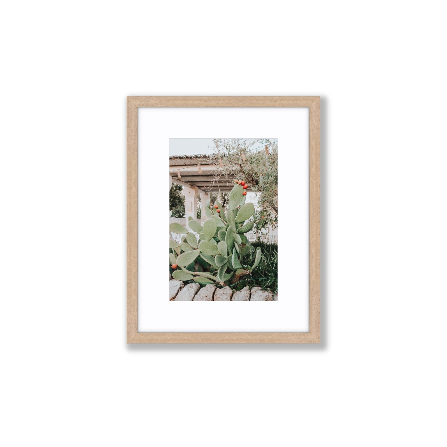 Opuntia Beauty Puglia wall art Small fine art print in natural oak frame with matboard