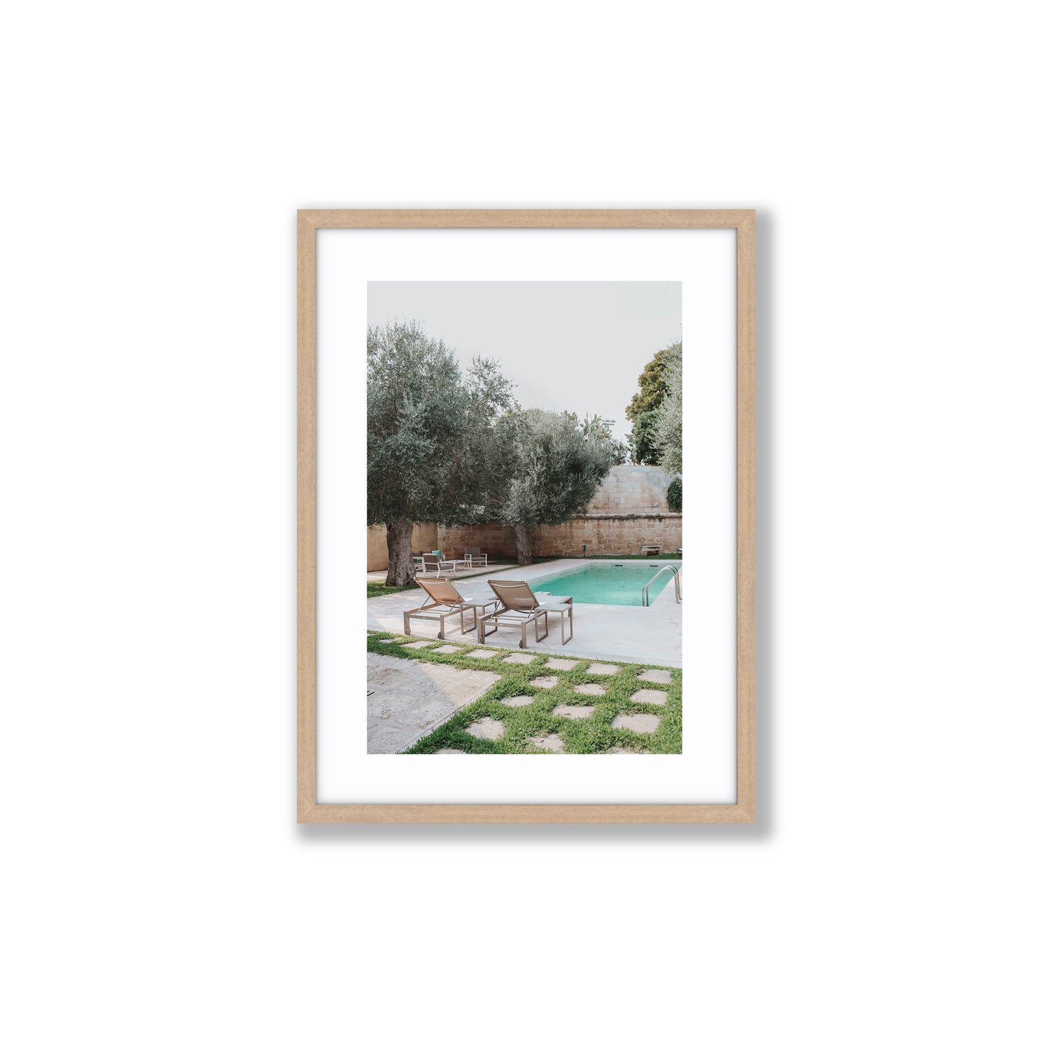 Olive Oasis