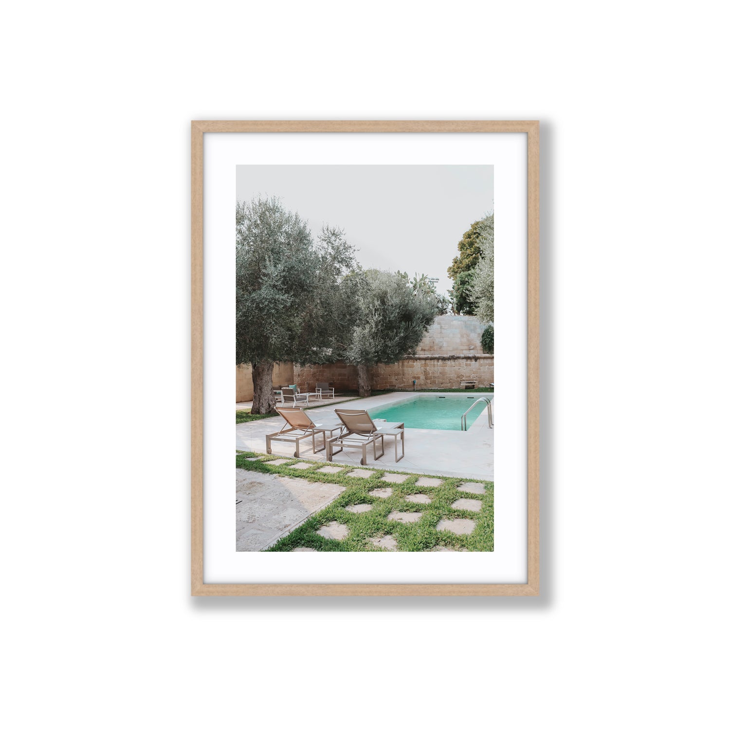 Olive Oasis