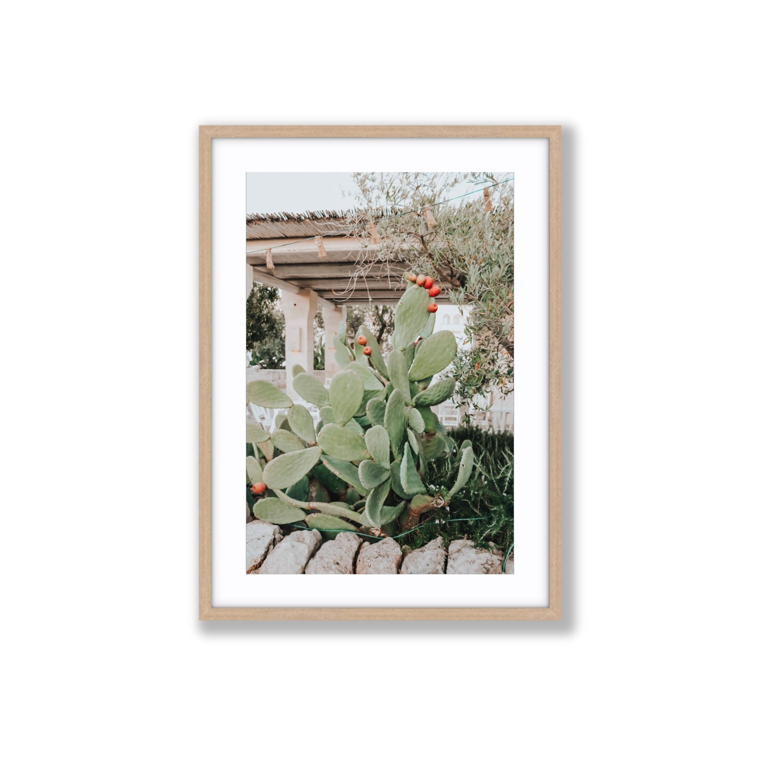 Opuntia Beauty Puglia wall art Large fine art print in natural oak frame with matboard