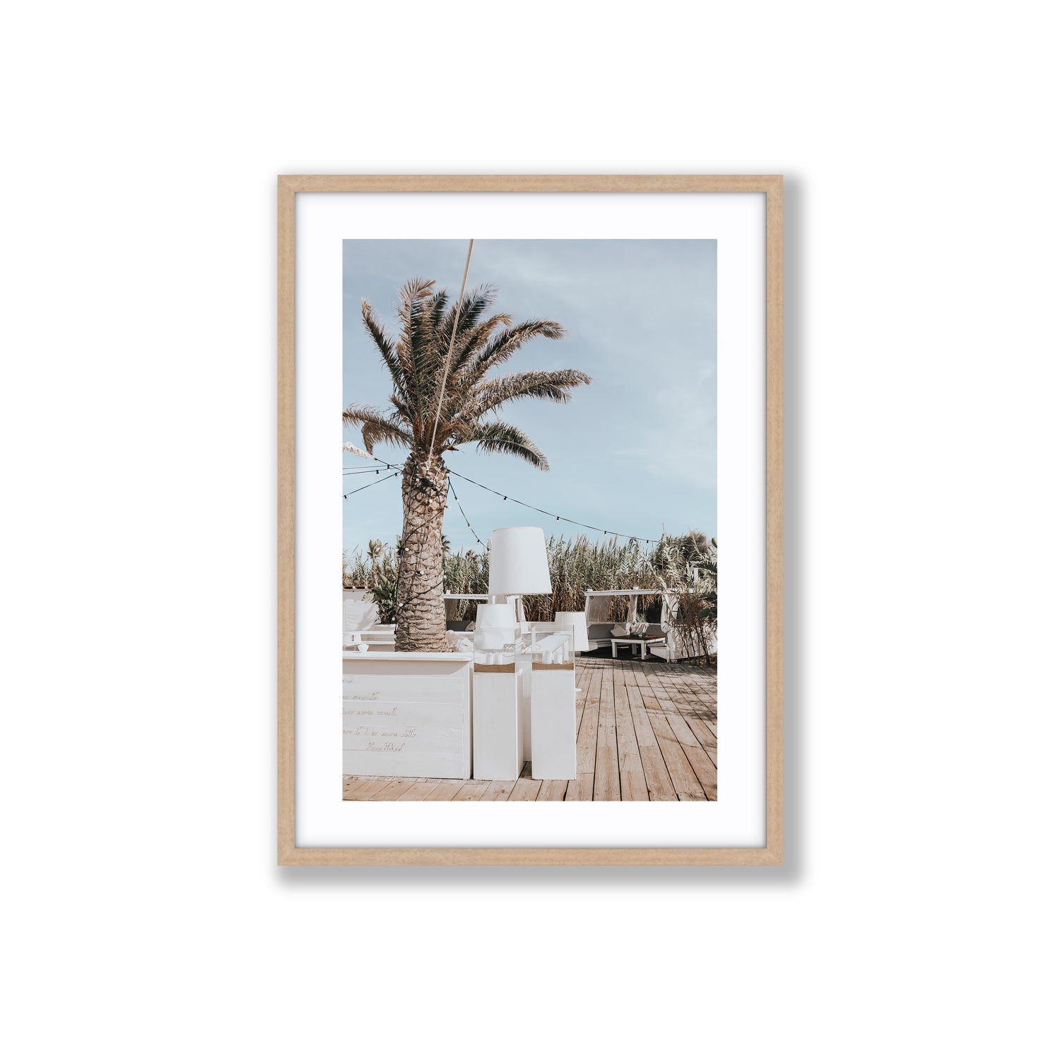 Seabreeze Palm