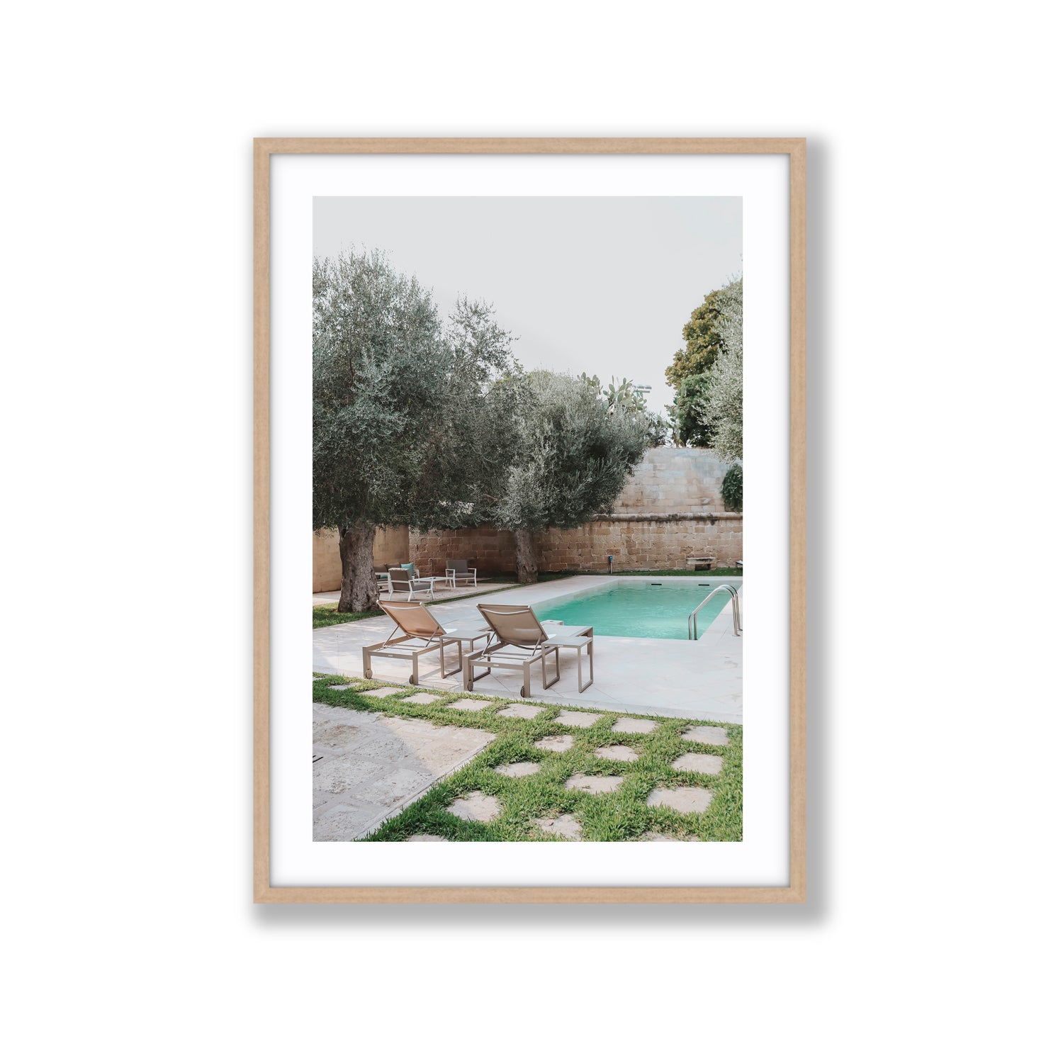 Olive Oasis