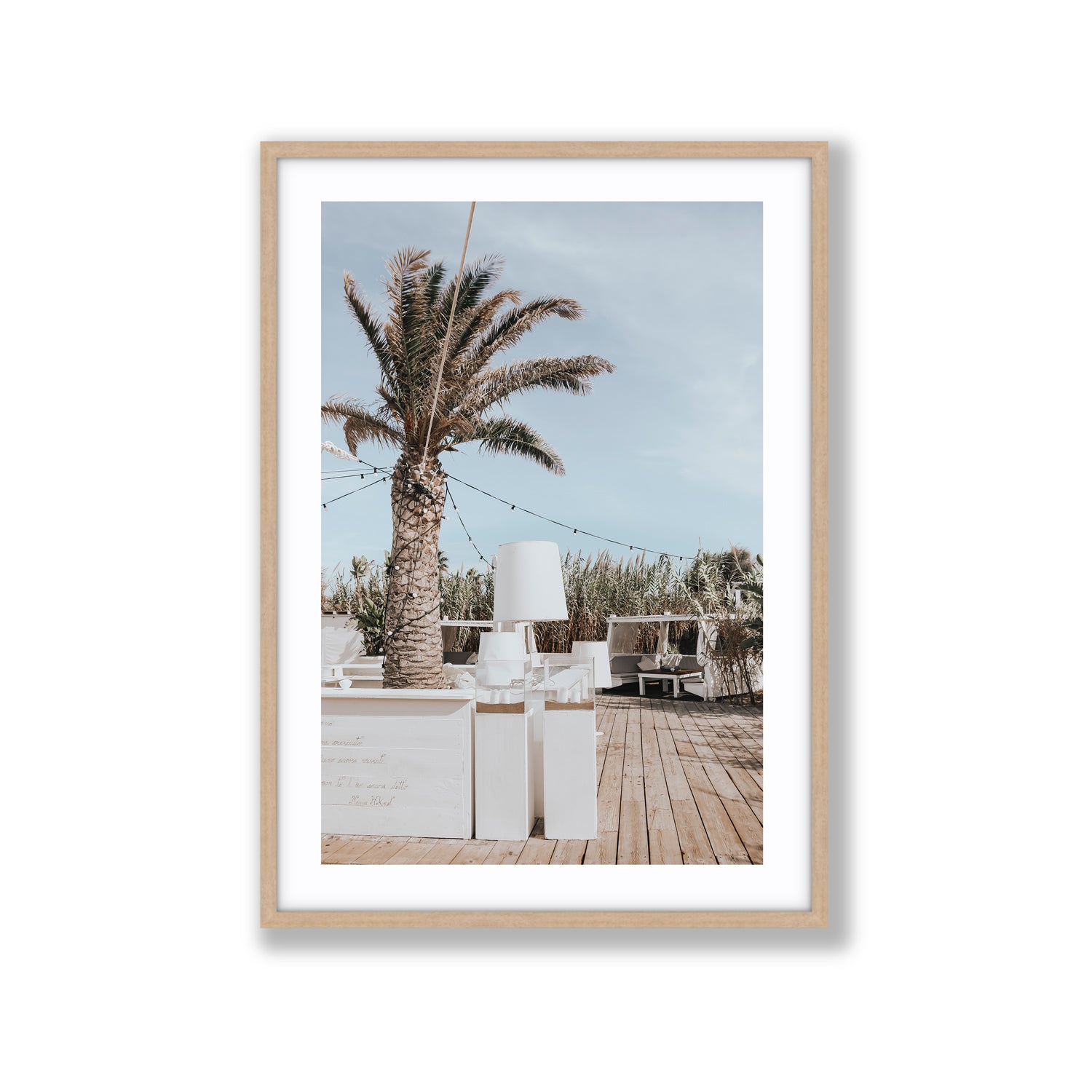 Seabreeze Palm