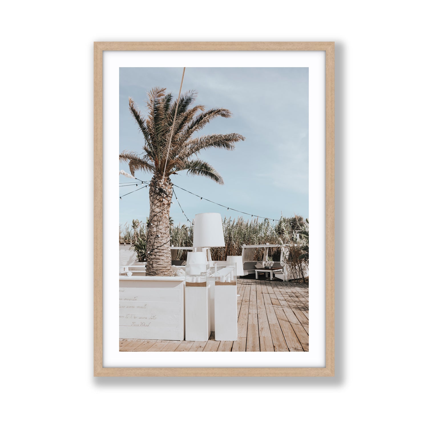 Seabreeze Palm