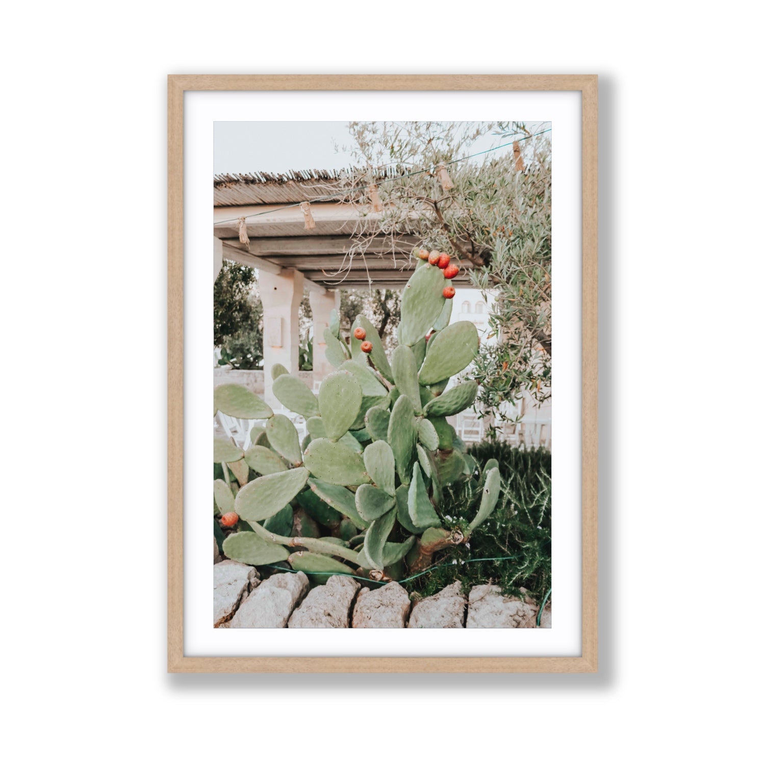 Opuntia Beauty Puglia wall art Giant fine art print in natural oak frame with matboard