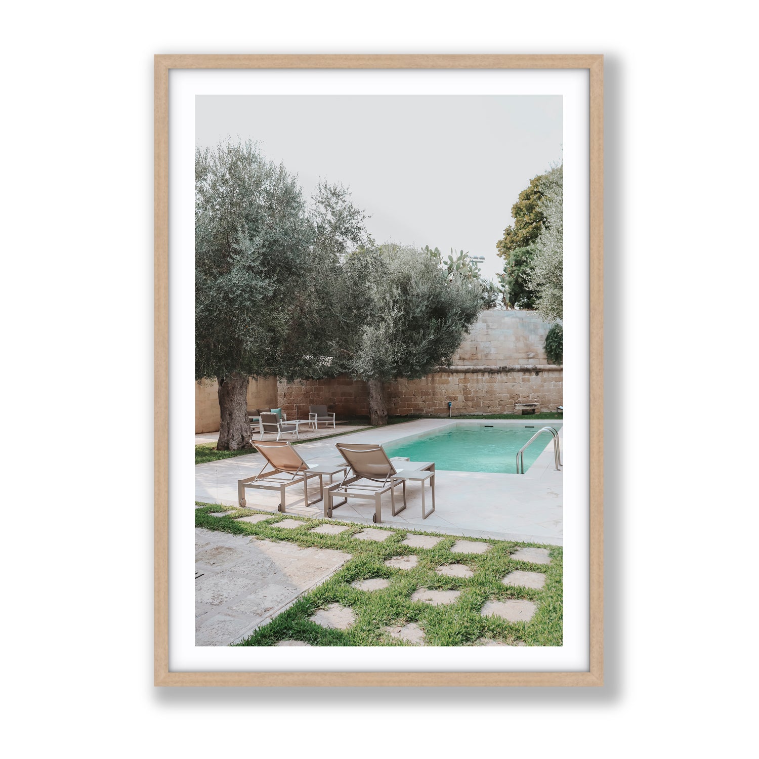 Olive Oasis