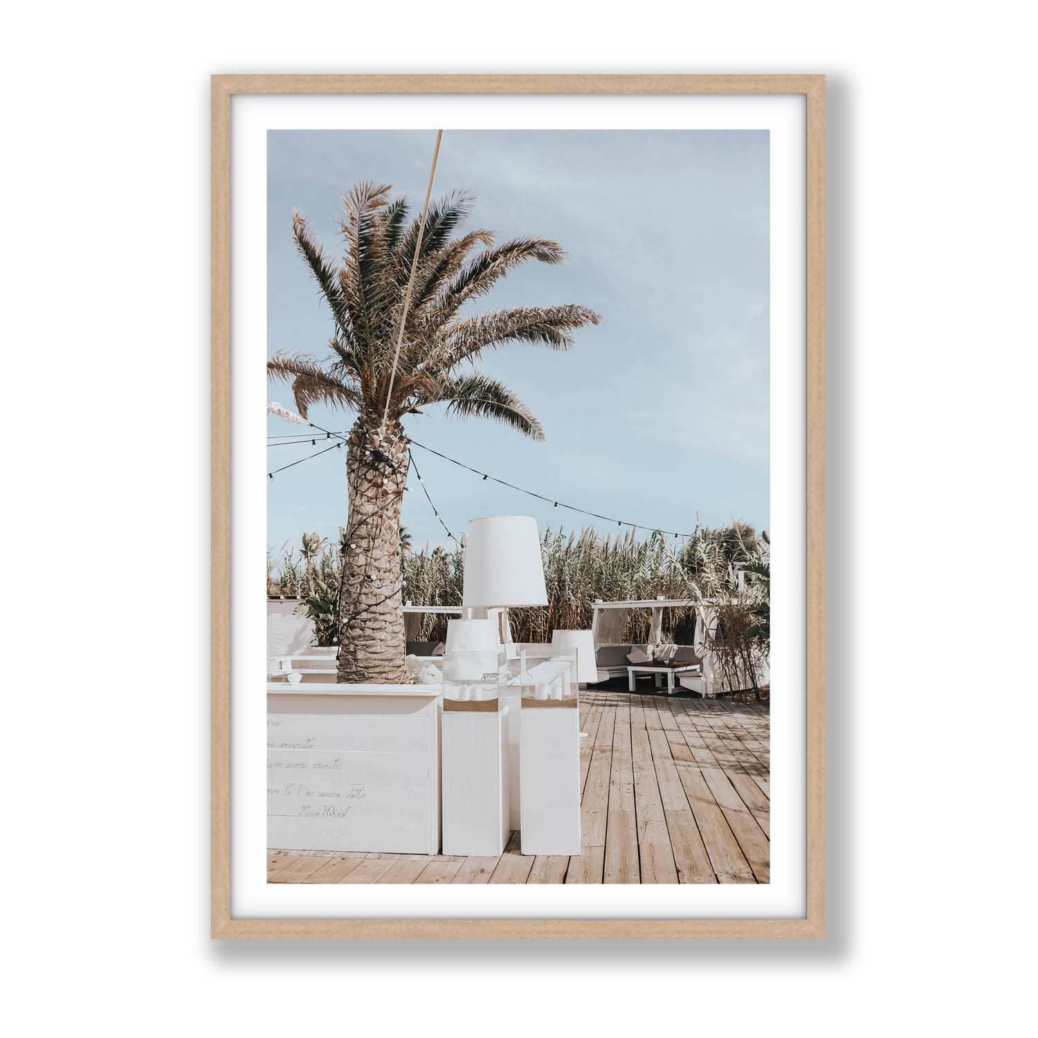 Seabreeze Palm